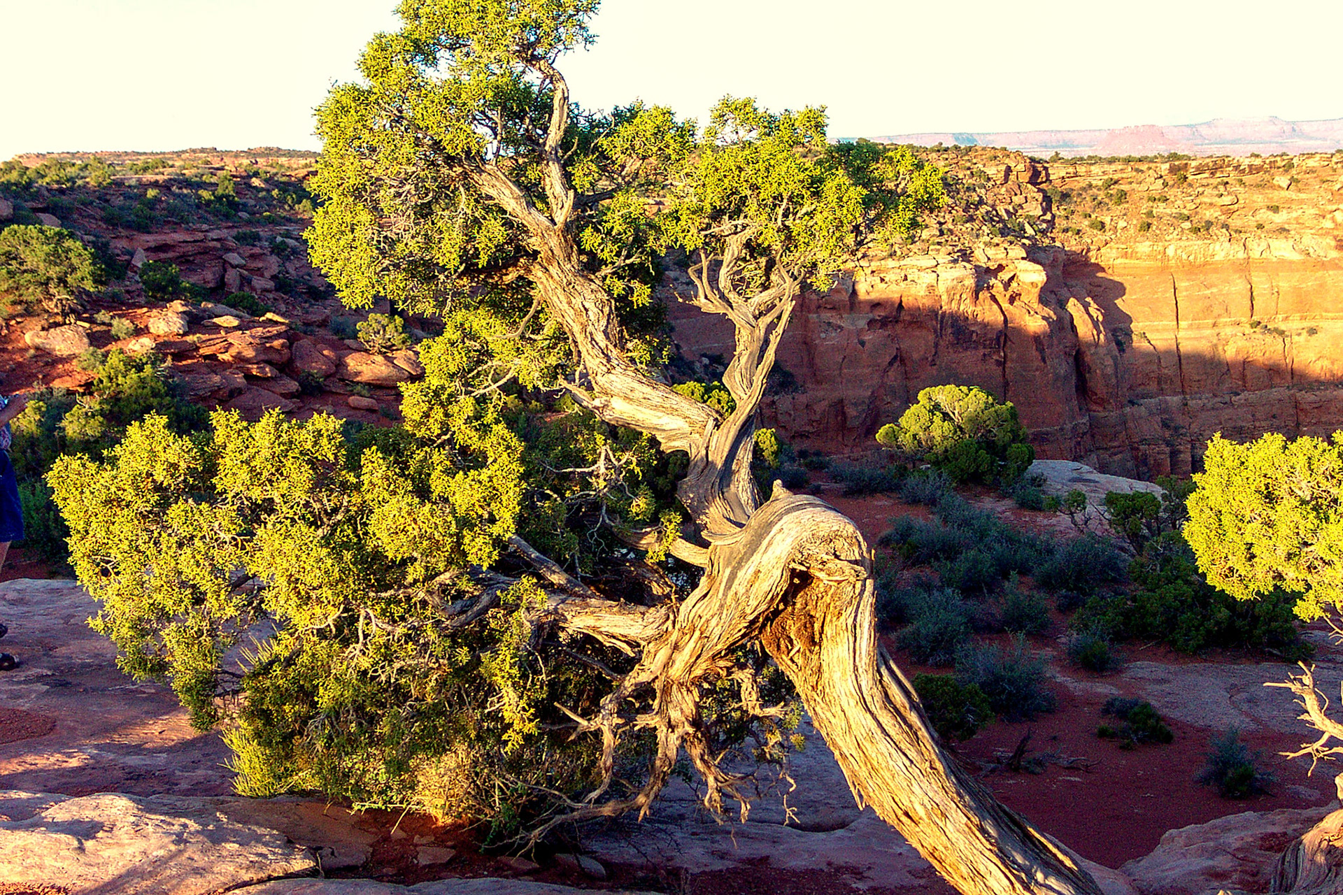 Rising sun at Grand Canyon - Grand Canyon National Park, Arizona