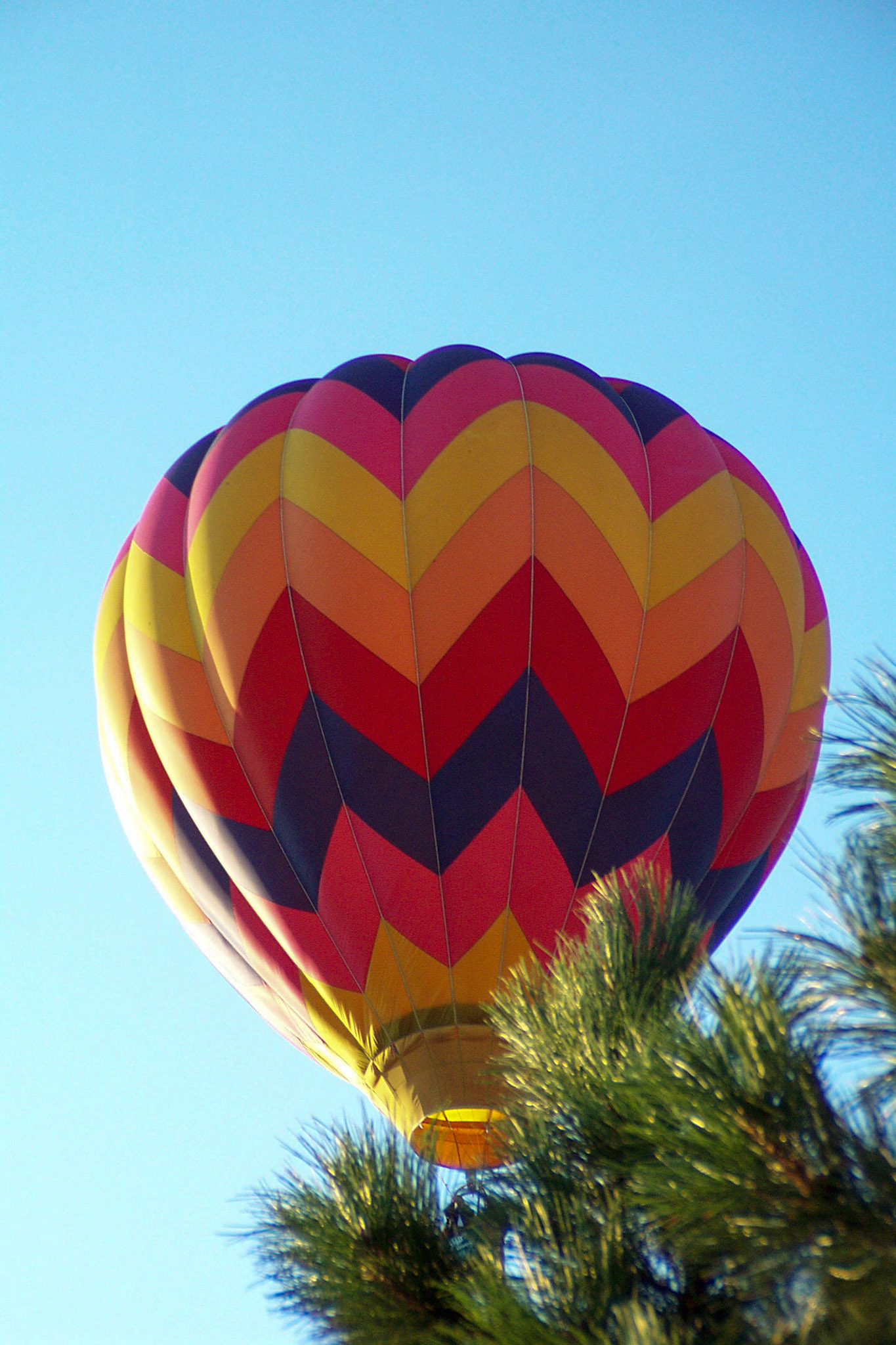 Hot Air Balloon Festival - Colorado Springs, Colorado