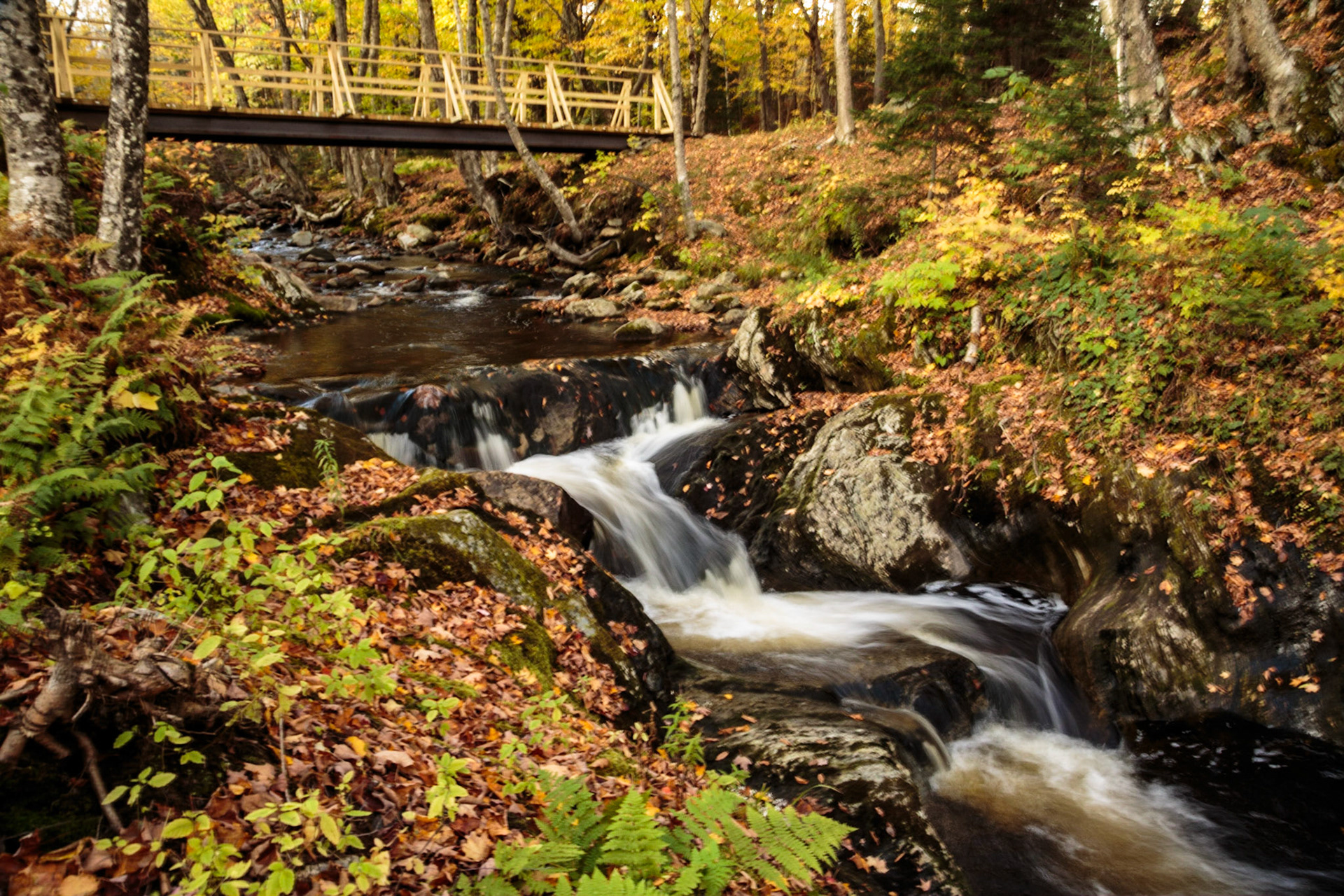 Bridge over brook - Sterling Brook Gorge, Stowe VT