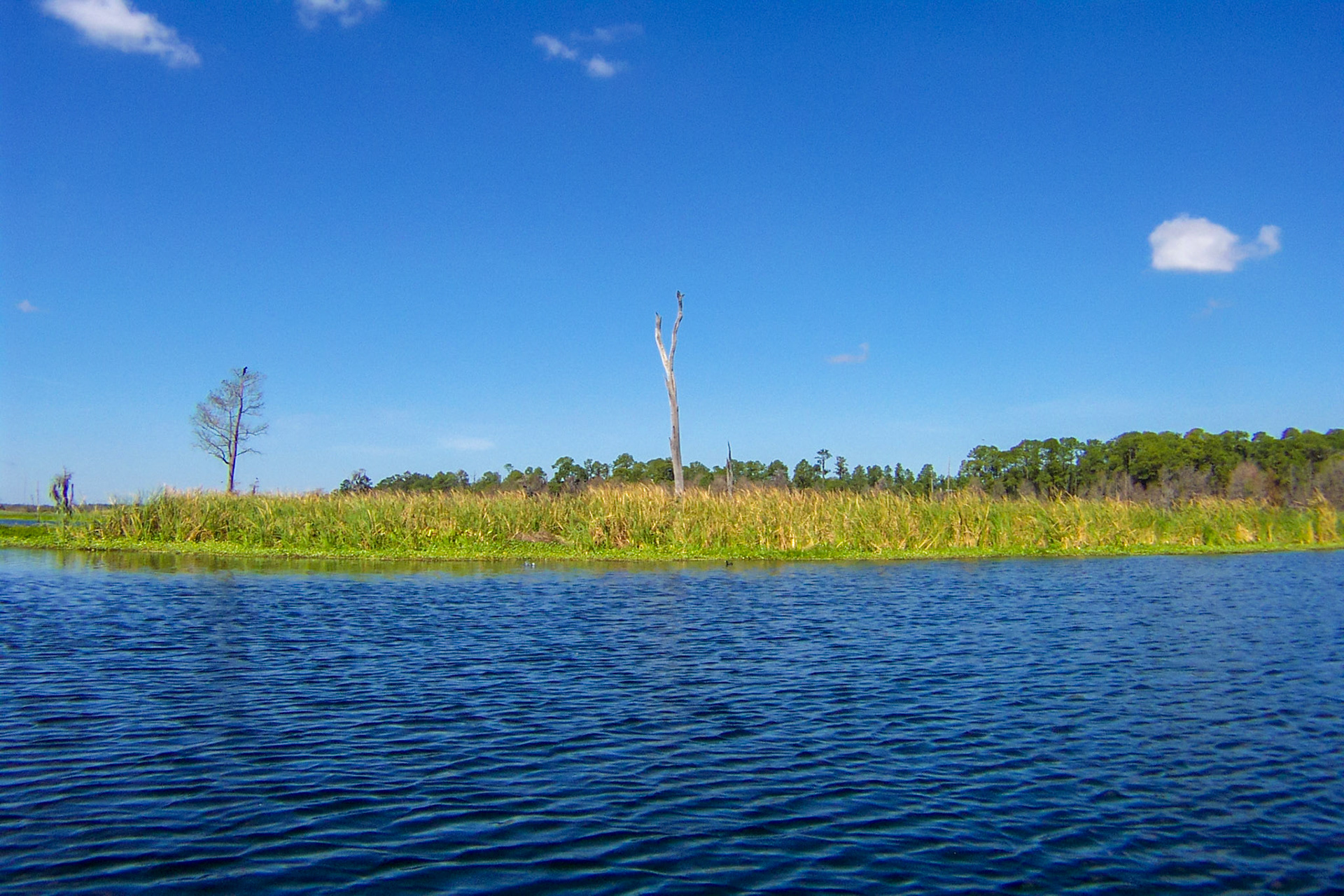 Out fishing or photographing as the case may be - Lake Weir, FL