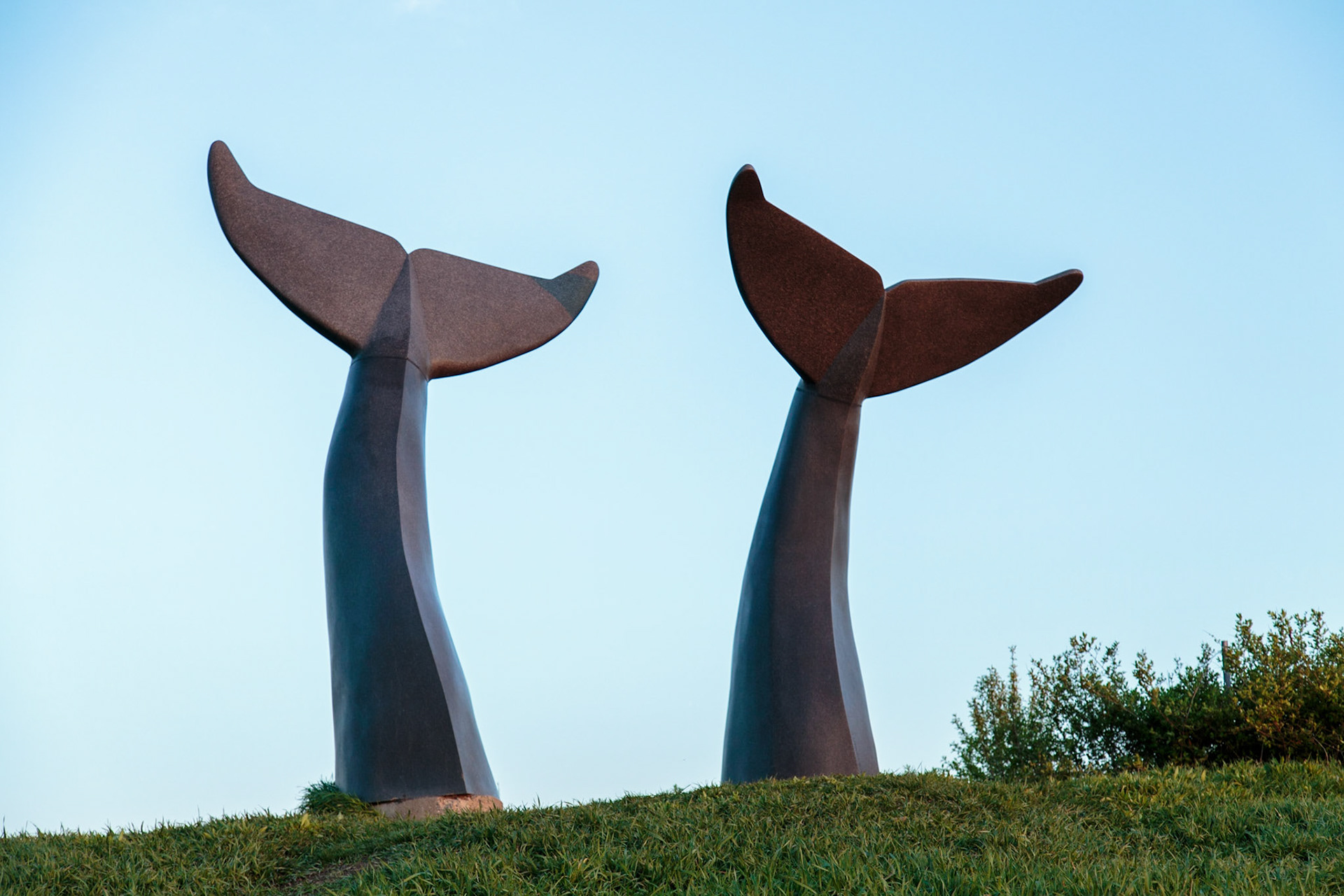 Whales Tails (Reverence) monument - Burlington, VT