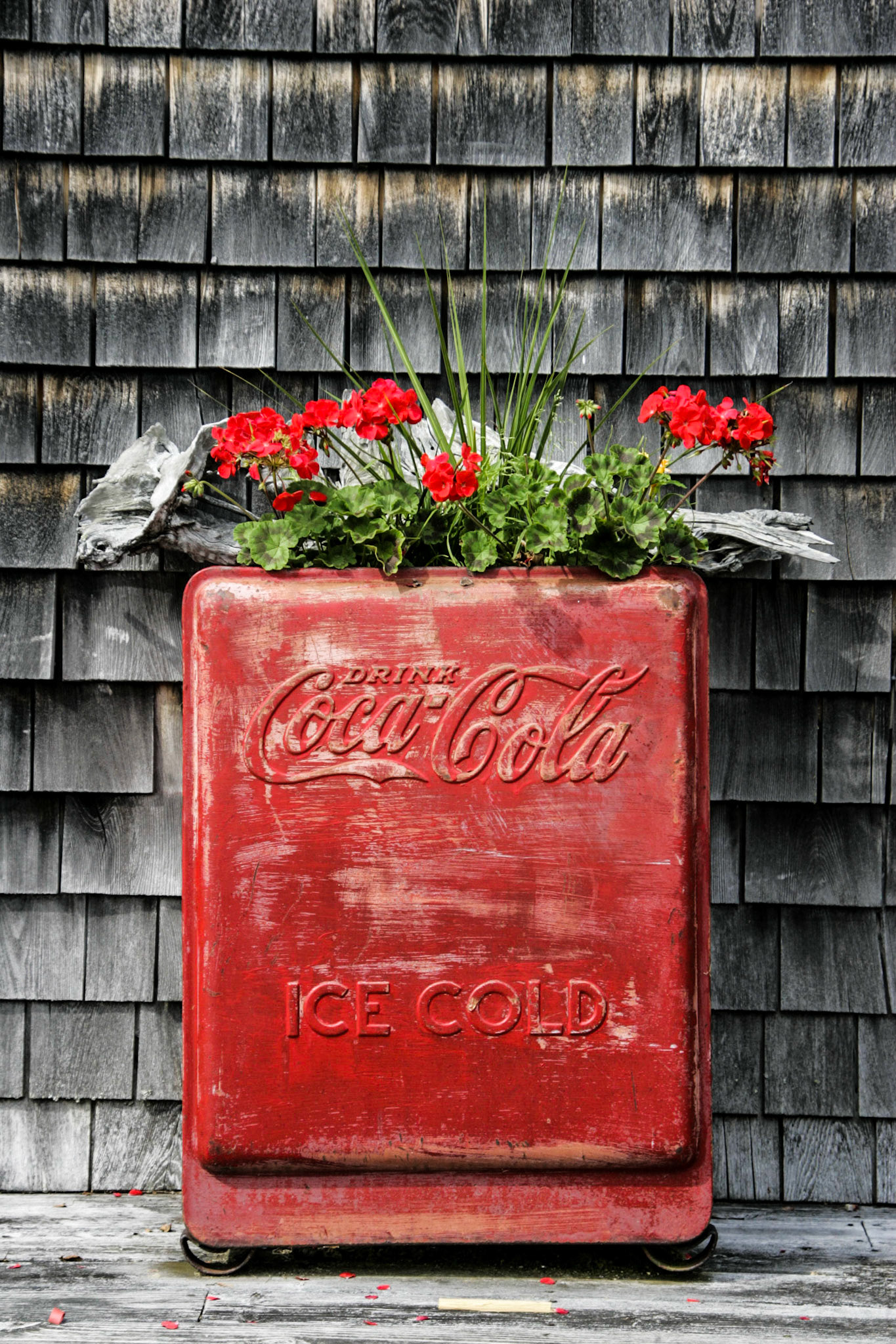 Old Coke cooler - Cabbage Island, ME