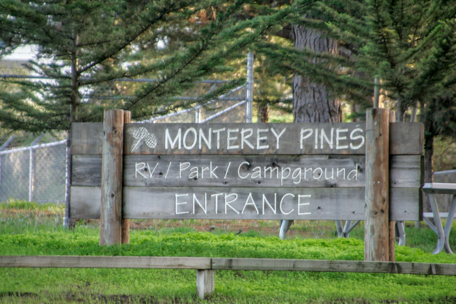 Monterey Rines RV Campground - Monterey, CA