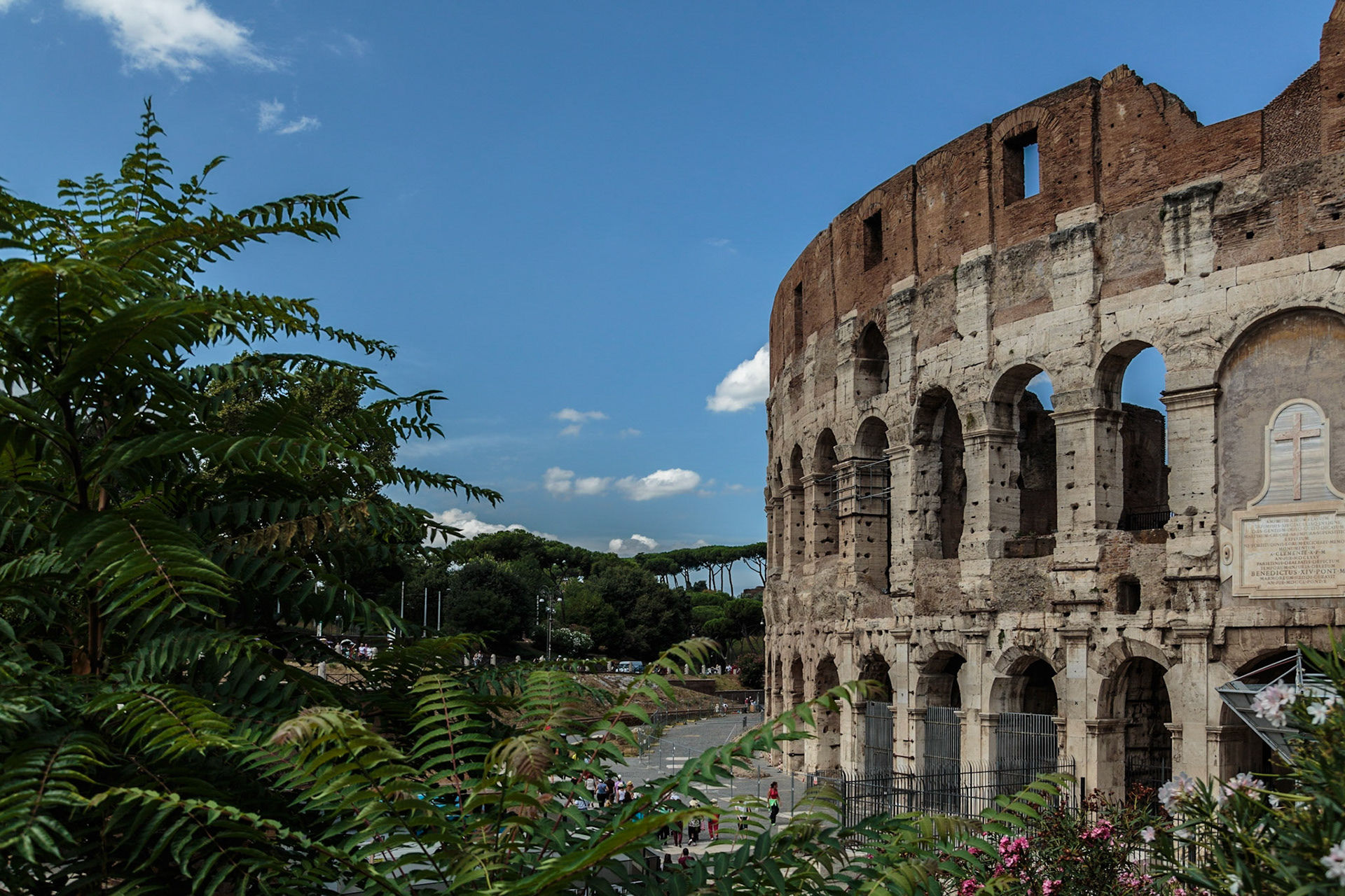 Colosseum - Rome, Italy
