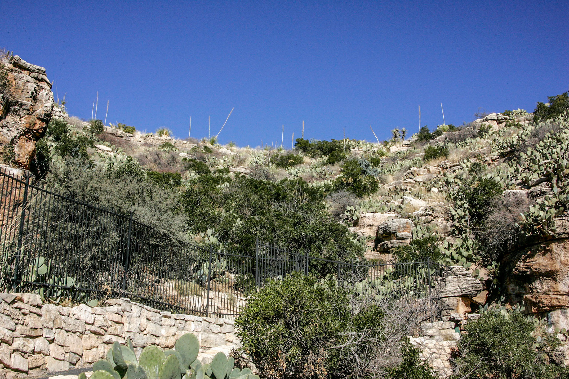 Carlsbad Caverns natural entrance - Carlsbad, NM