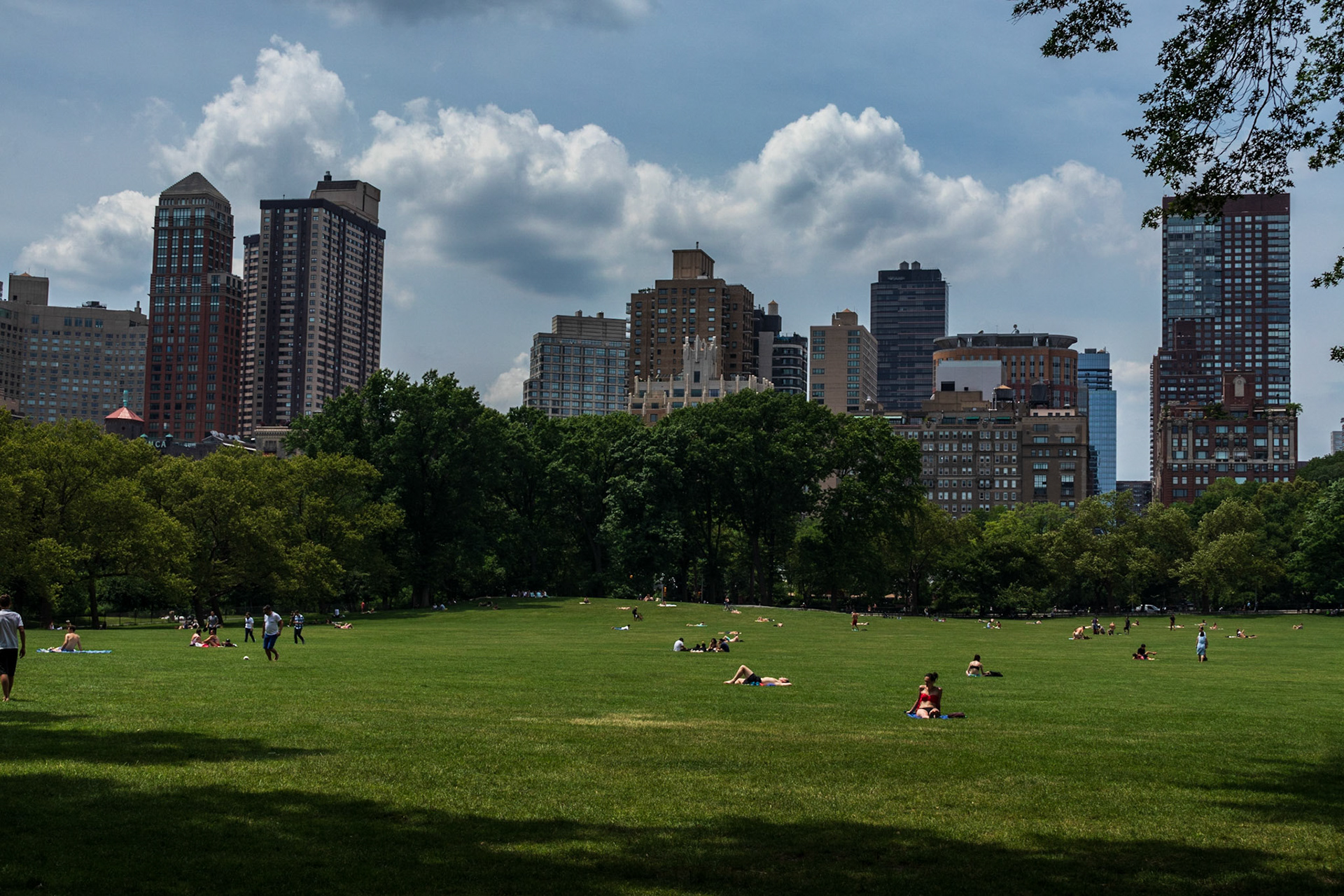 Central Park - New York, New York City