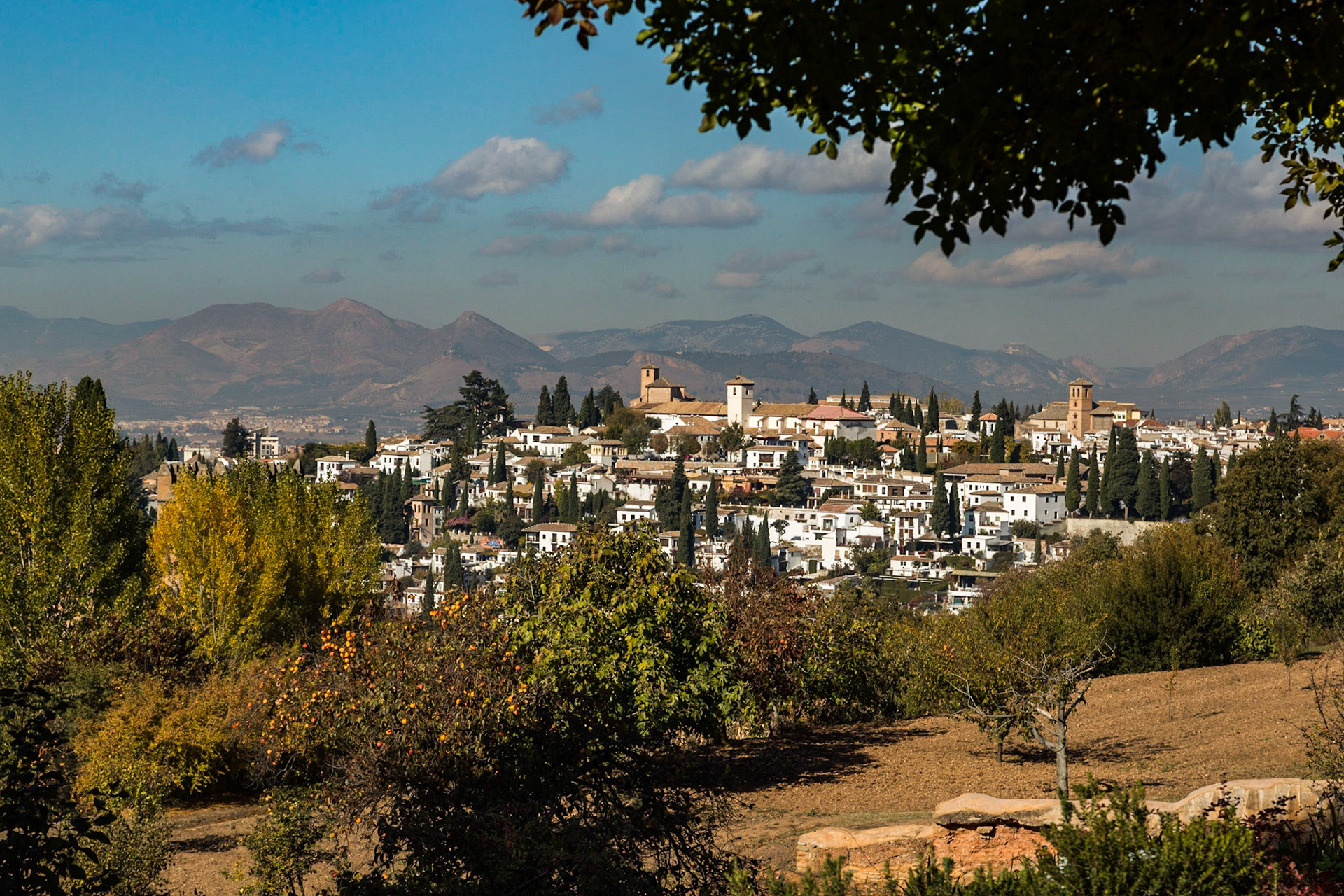 Overlook from the Alhambra - Malaga, Spain