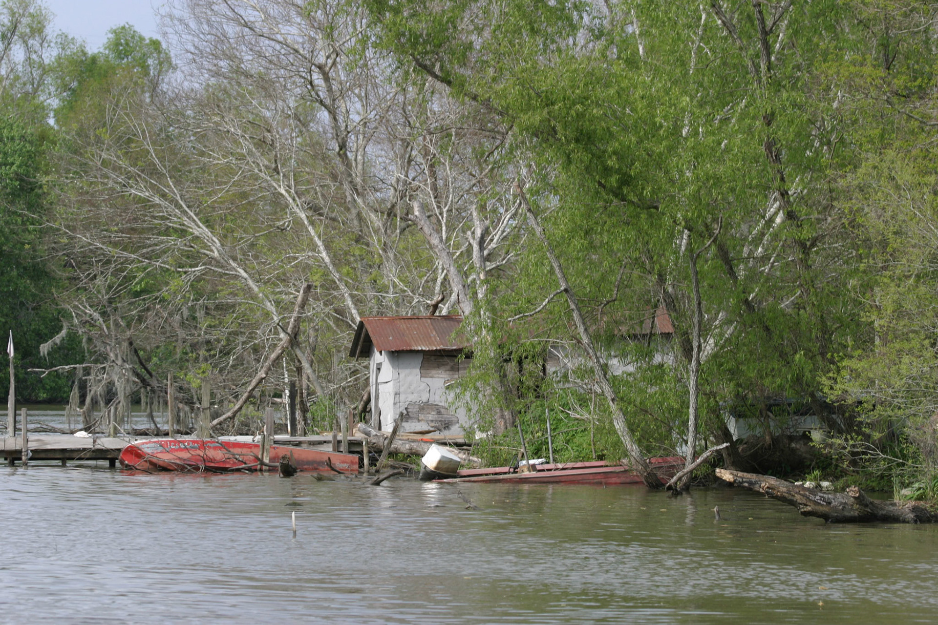 Airboat tour int he Bayou - New Orleans, LA