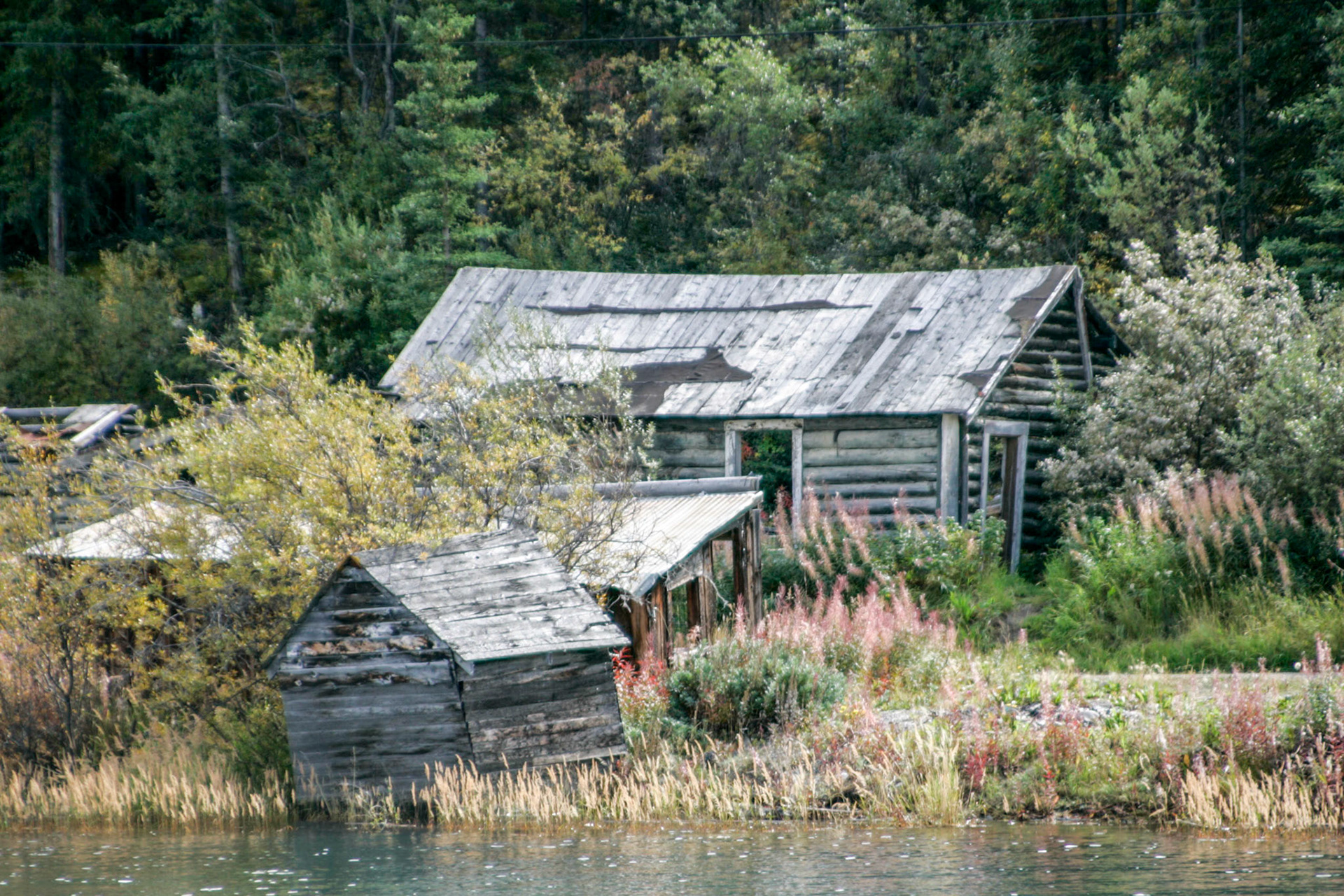 Abandoned settlement - Skagway, Alaska