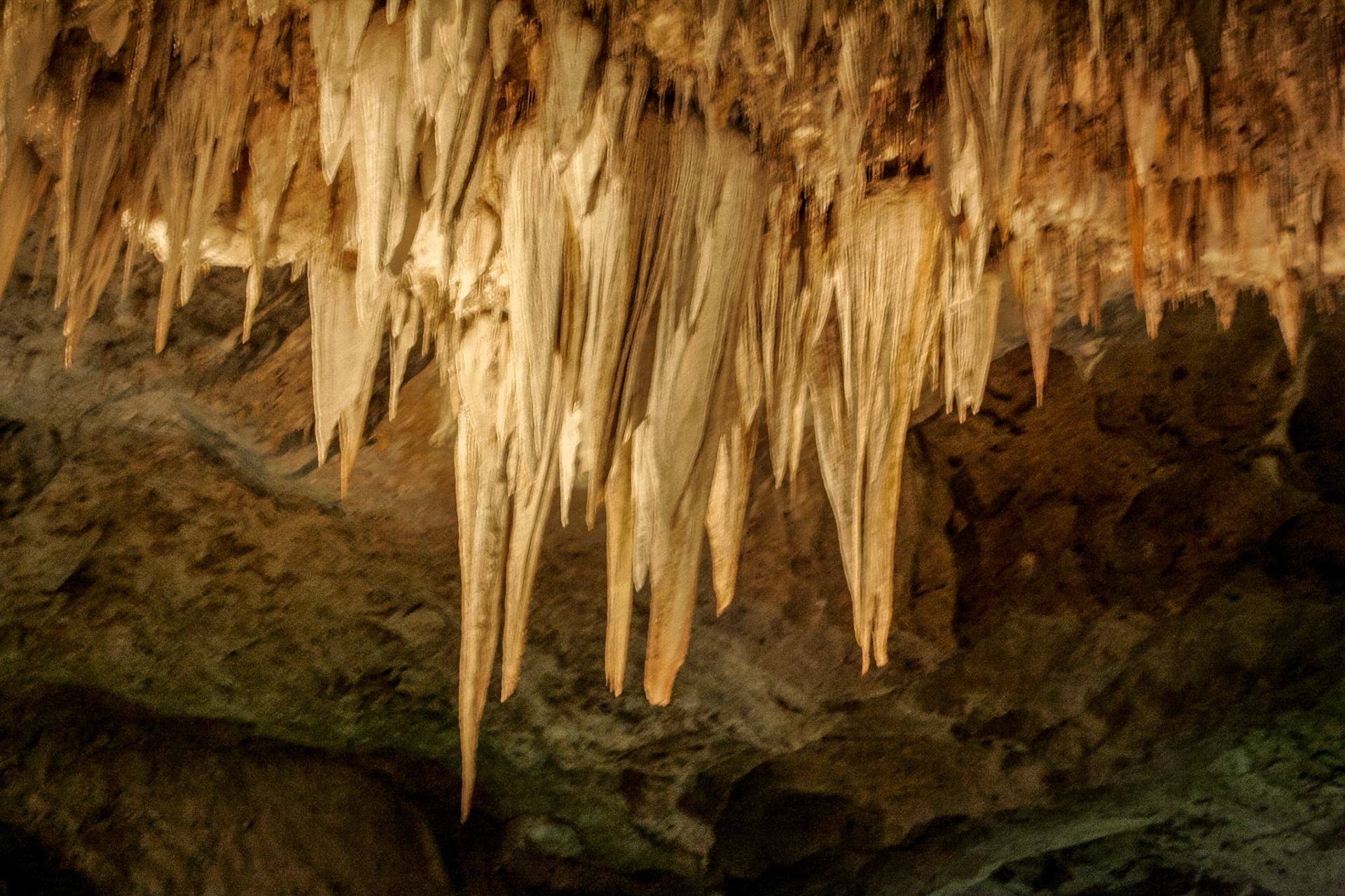 Inside Carlsbad Caverns - Carlsbad, NM