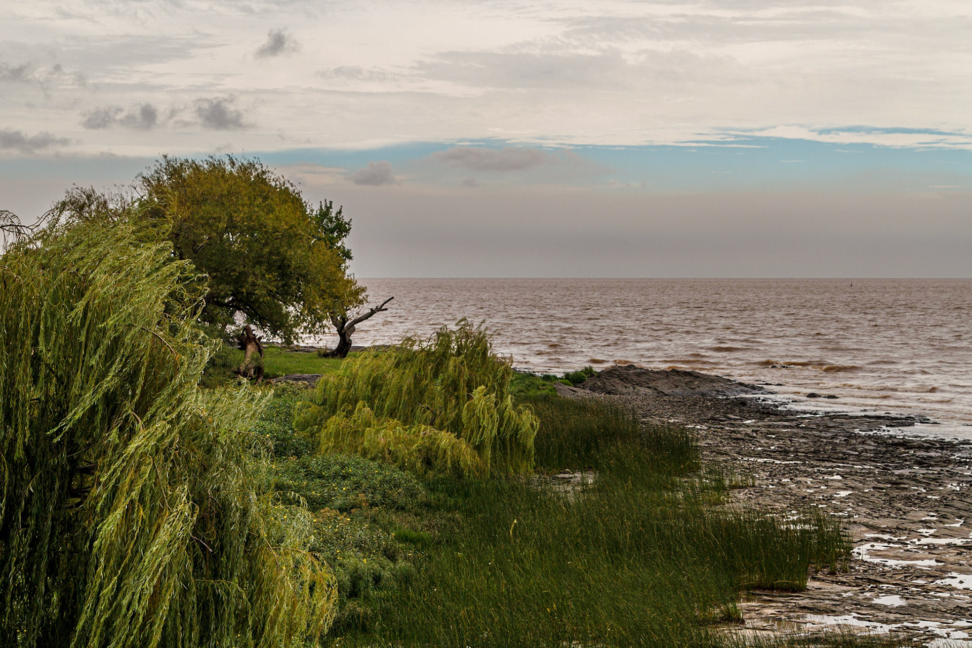Coastline - Montedevideo, Uruguay