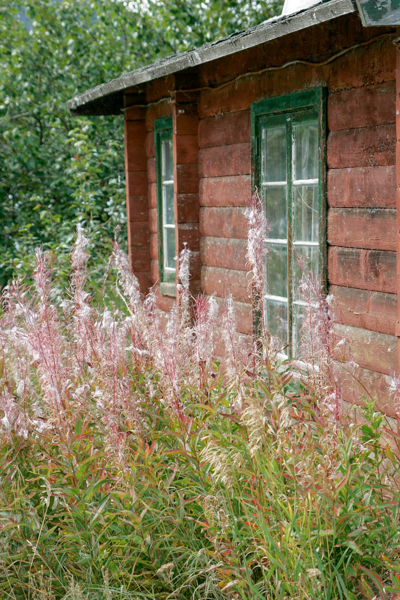 Old cabin - Skagway, Alaska