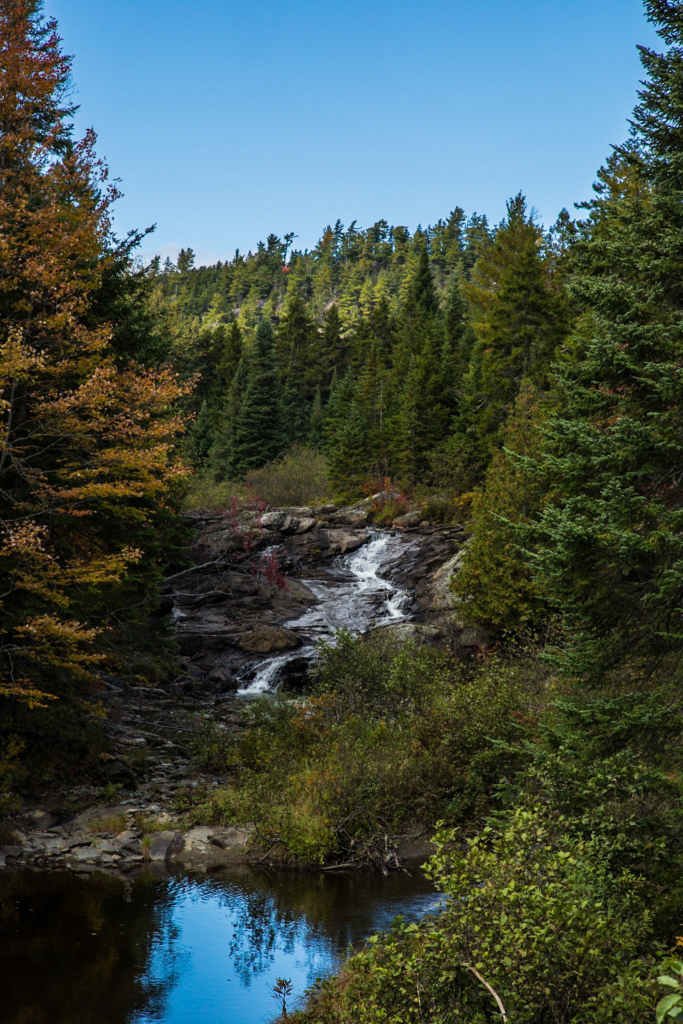 Brook in Maine - Around Jackman, ME
