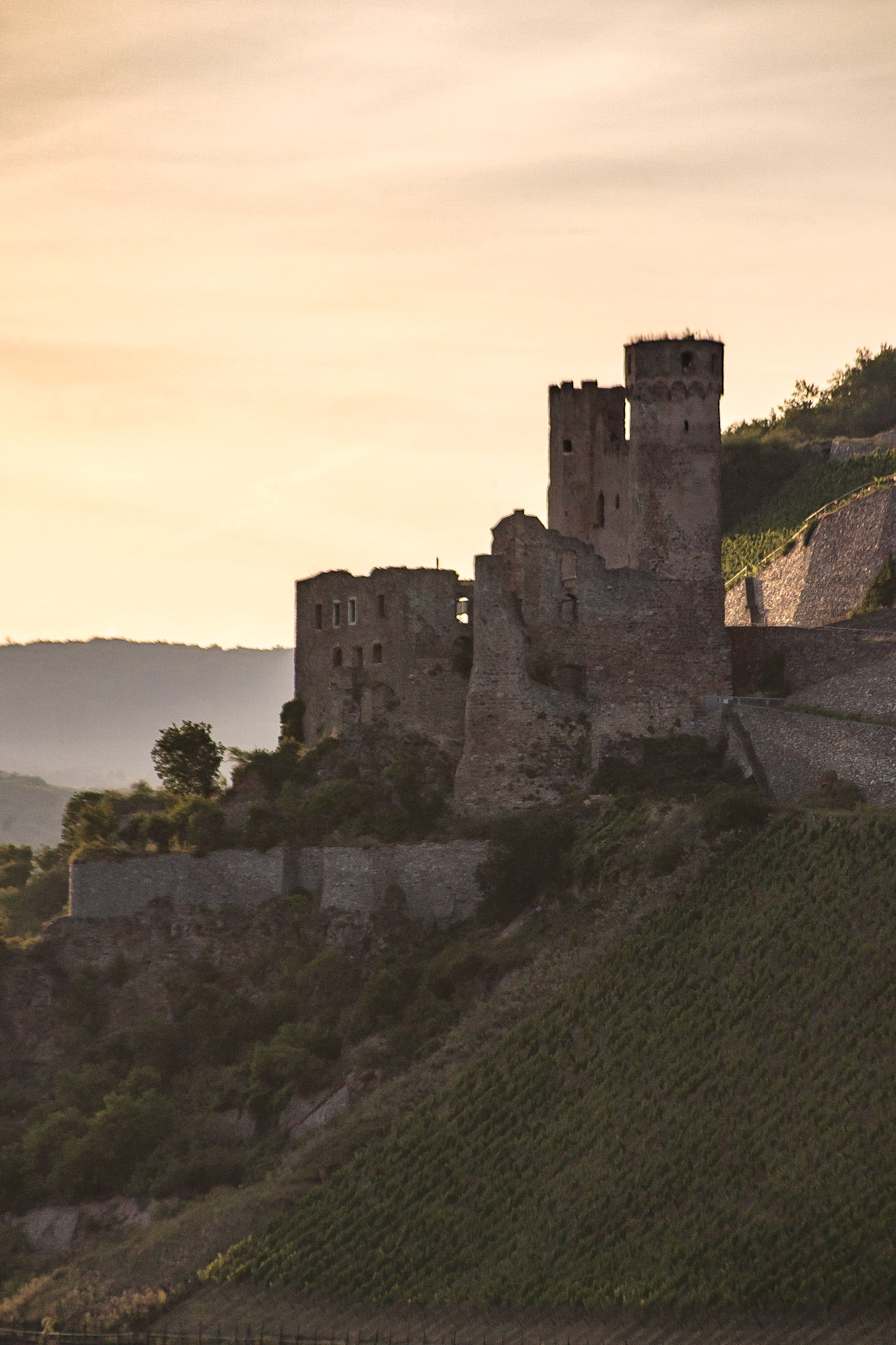 Castle ruins - Ruedesheim am Rhein, Germany