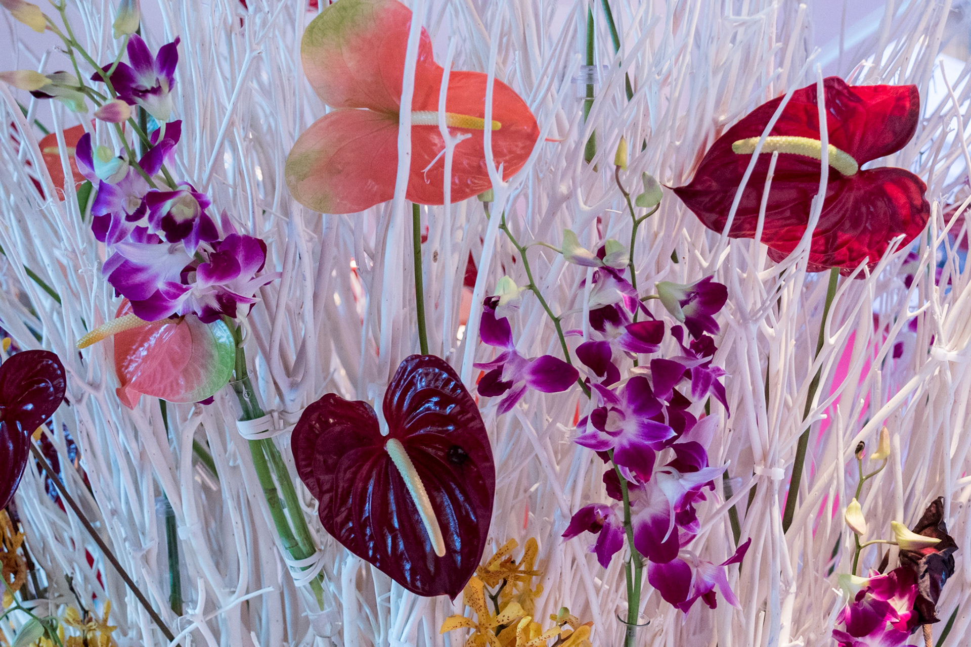 Flower Bouquet on board - Holland America Line, Koningsdam