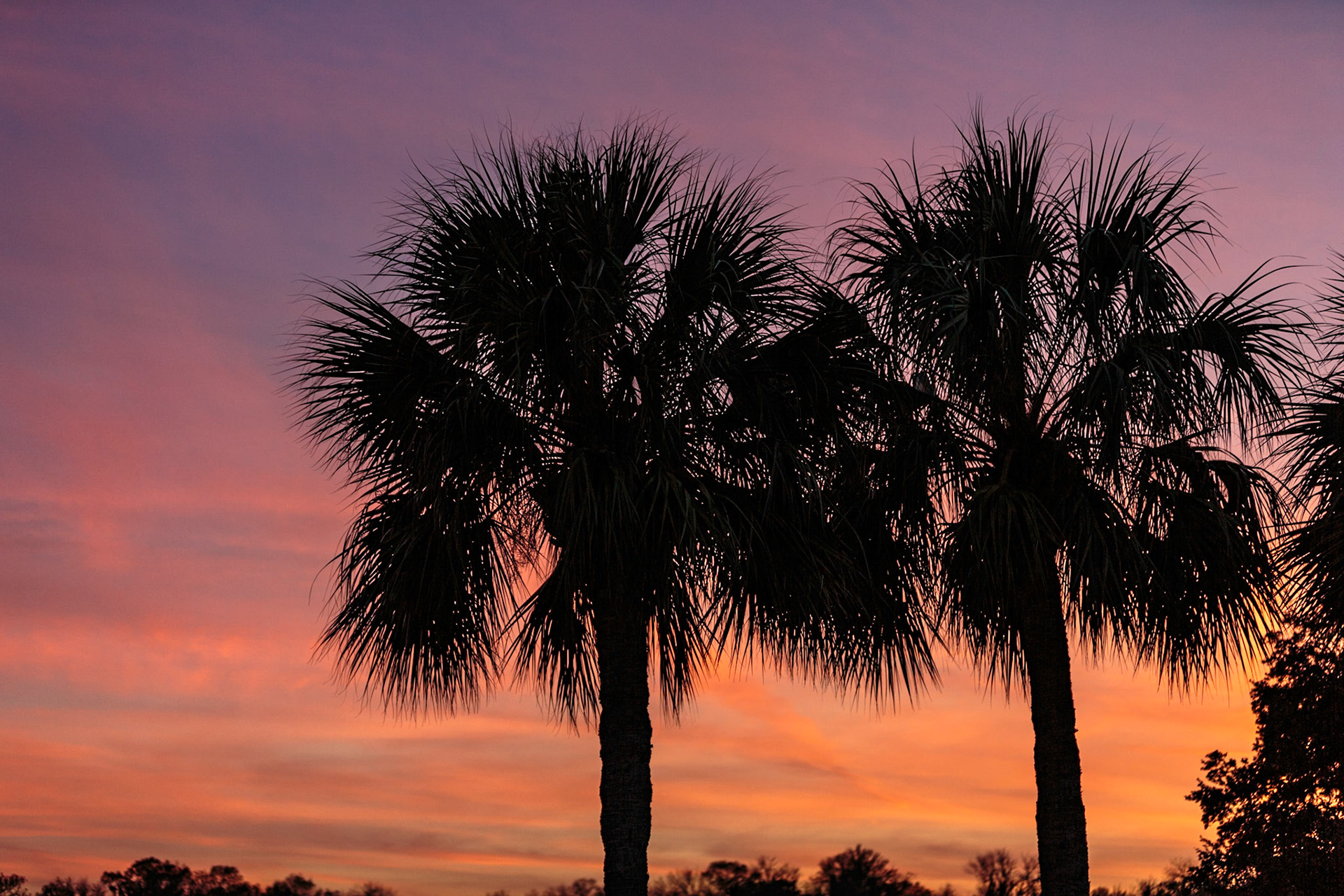 Sunrise on the St Johns River