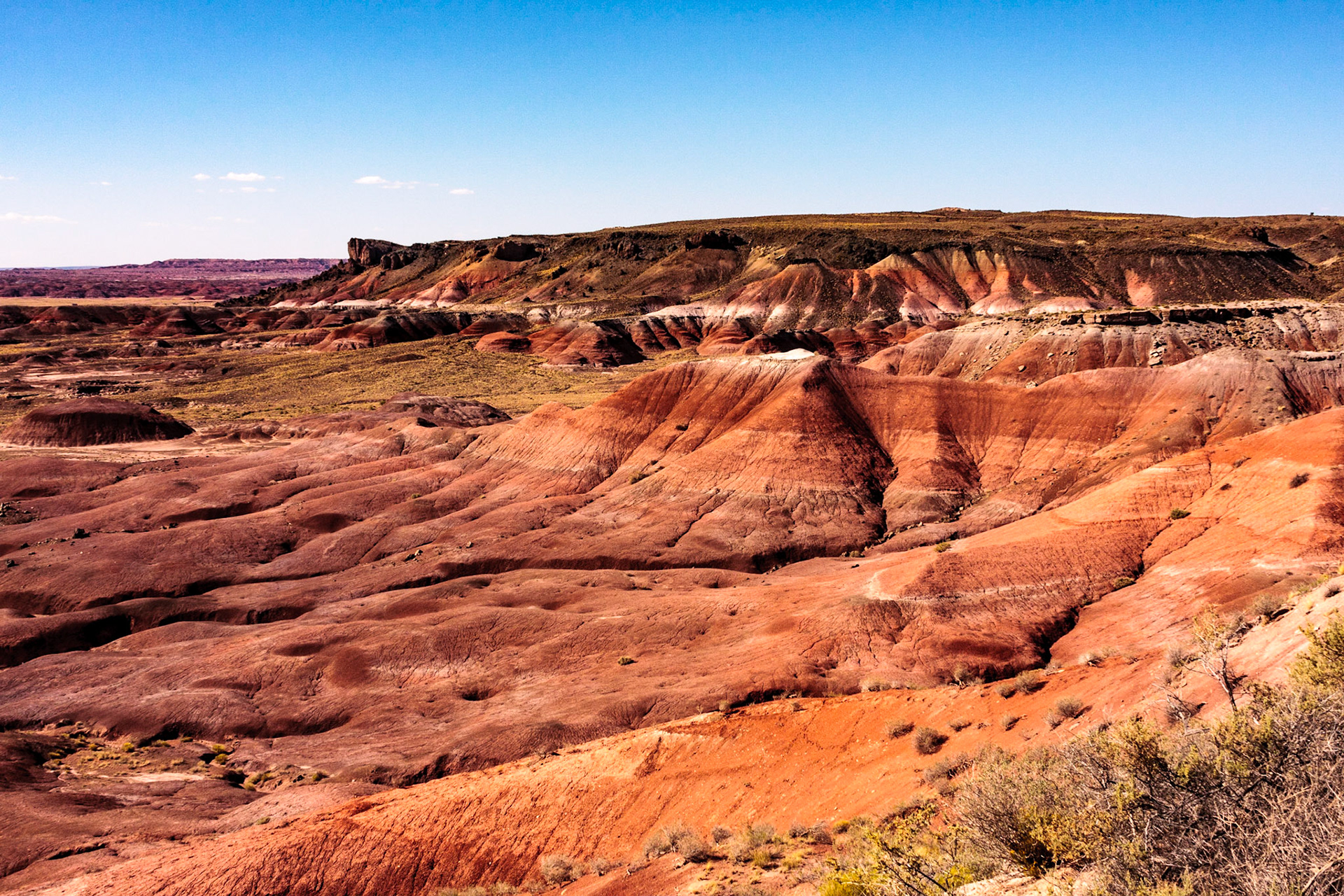 Painted Desert