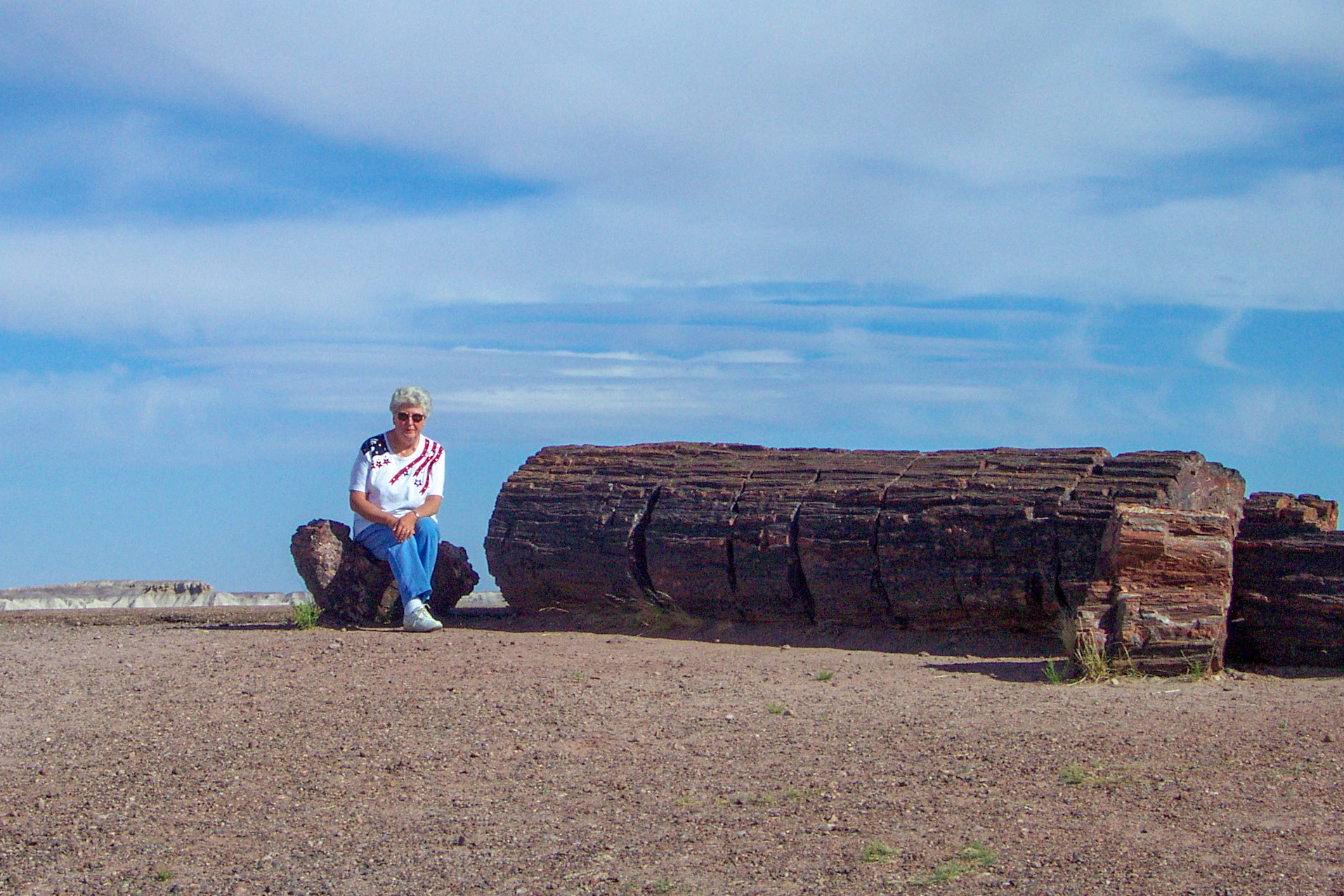 Mom at Petrified Forest National Park, AZ