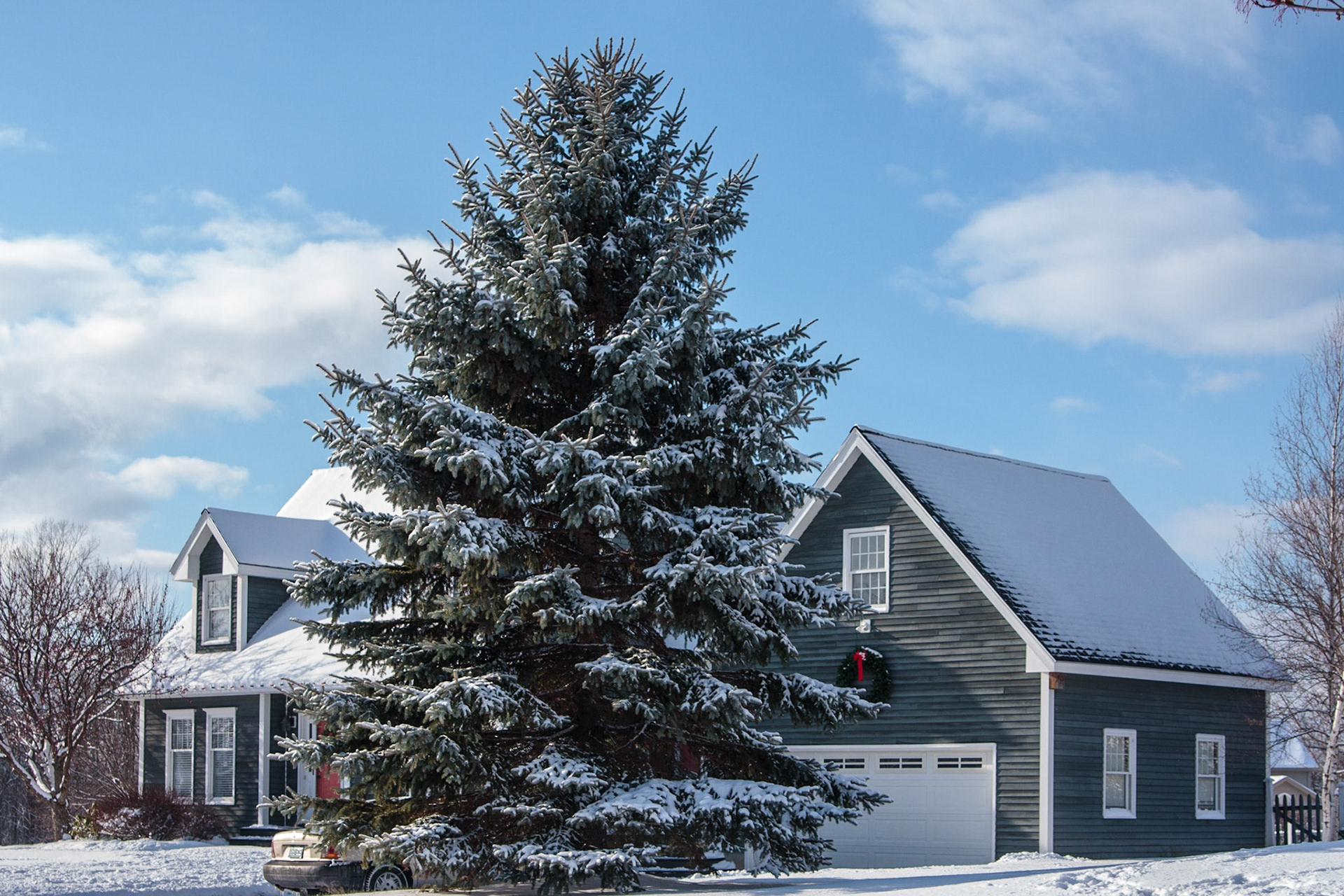 Winter scene - Colchester VT