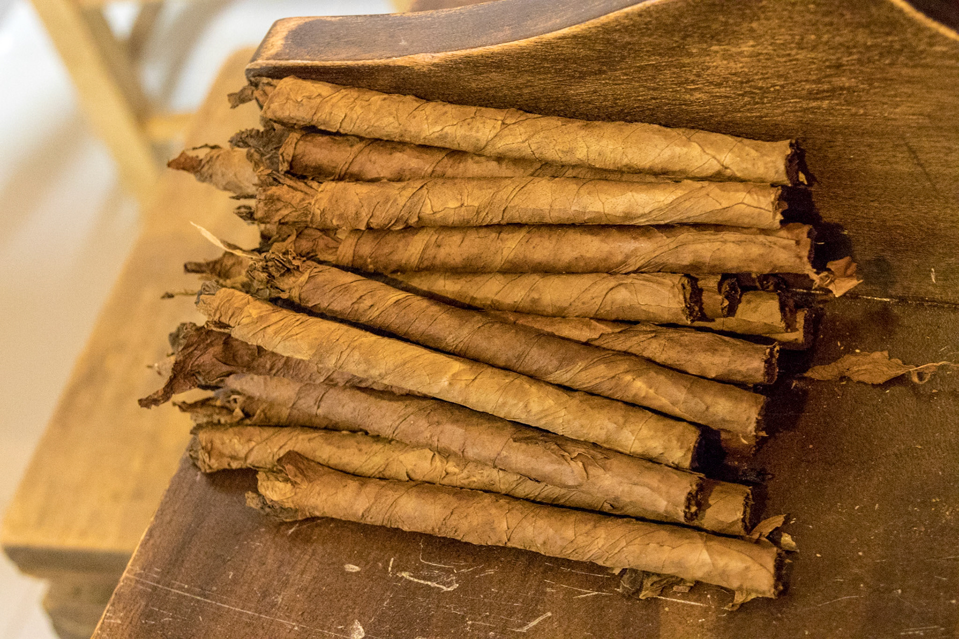 Hand rolled cigars - Cigar Club, Dominican Republic, Puerto Plata