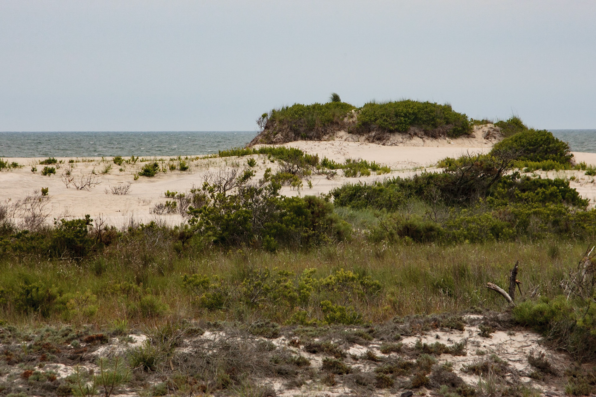 Assateague, Delaware