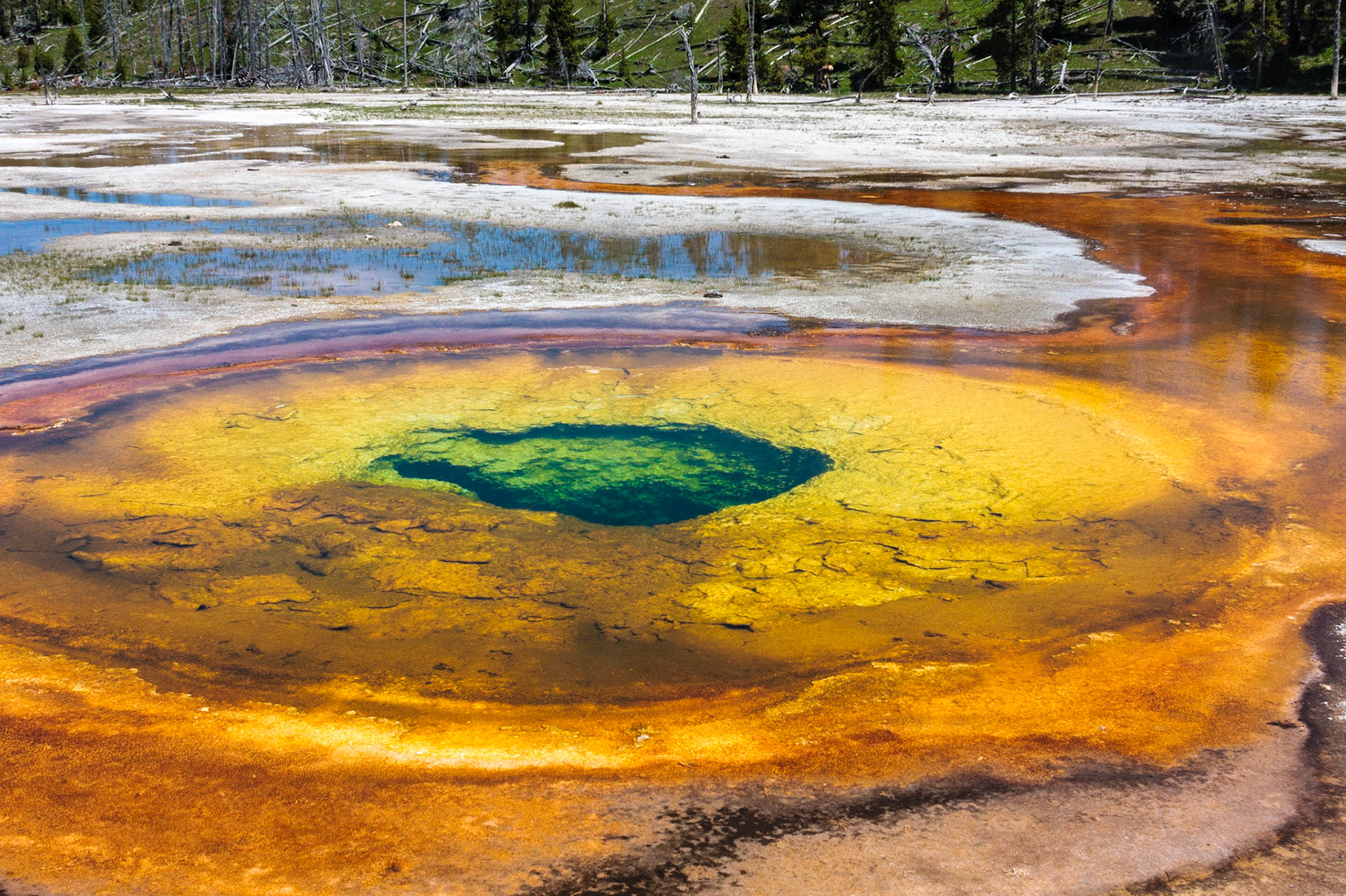 Yellowstone National Park