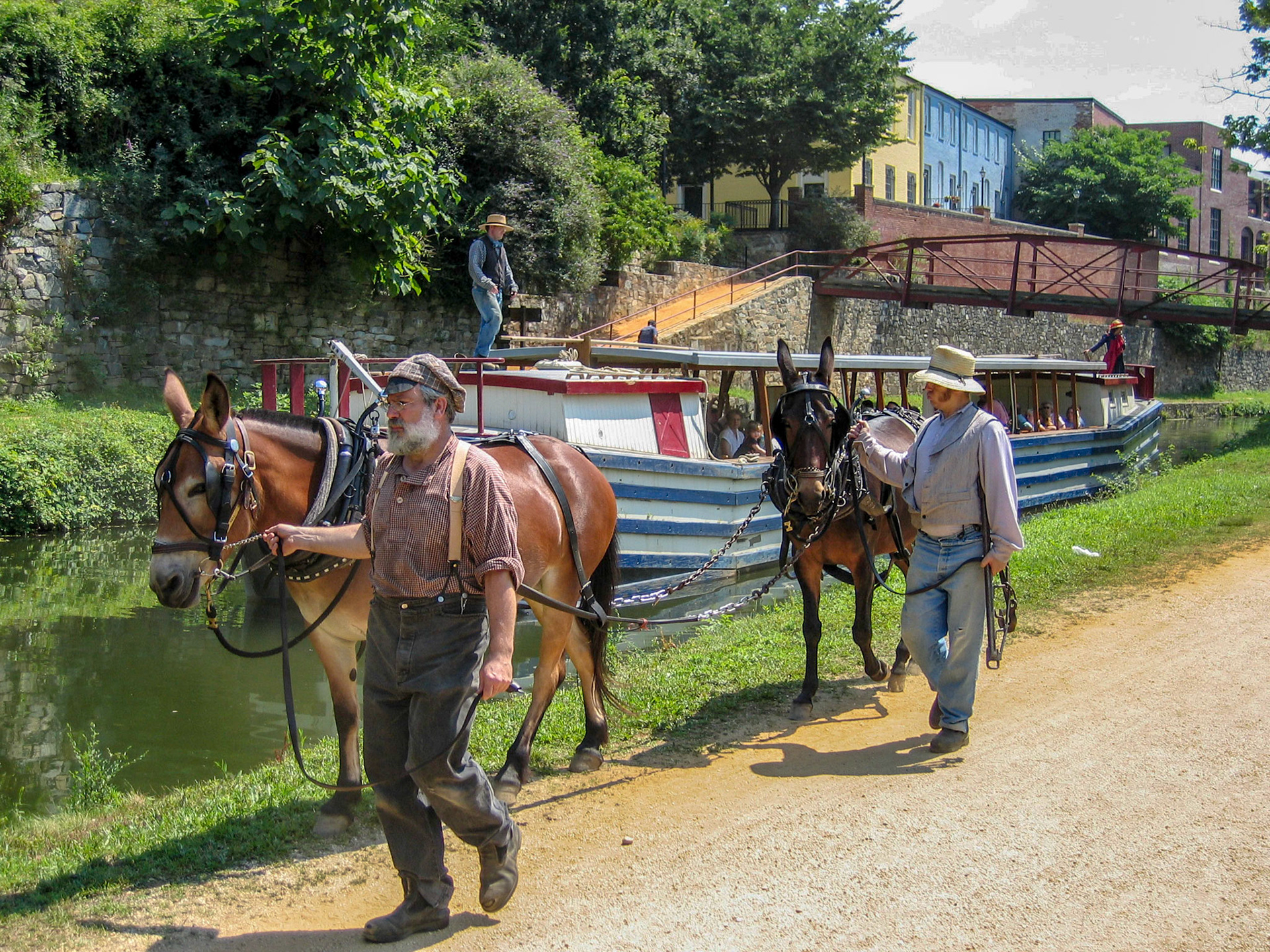 Towing a barge on the C & O Canal - Washington DC