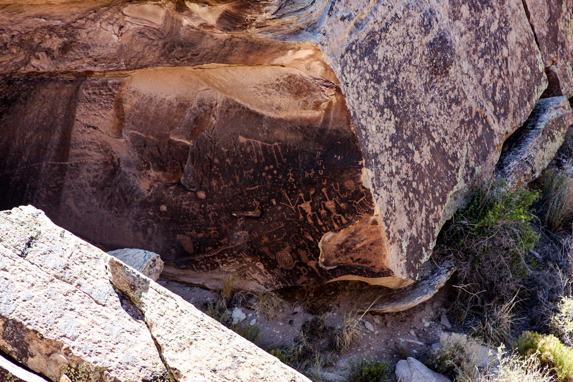 Petrified Forest National Park