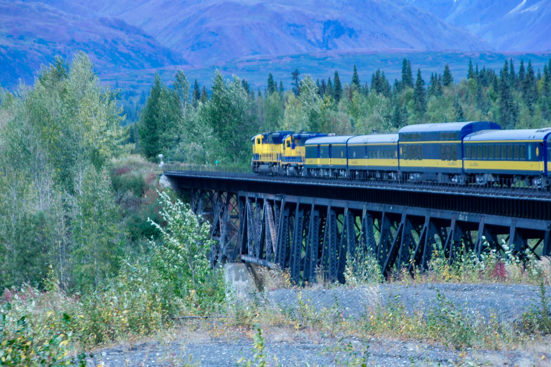 Took the train from Anchorage to Fairbanks going through the Denali National Park