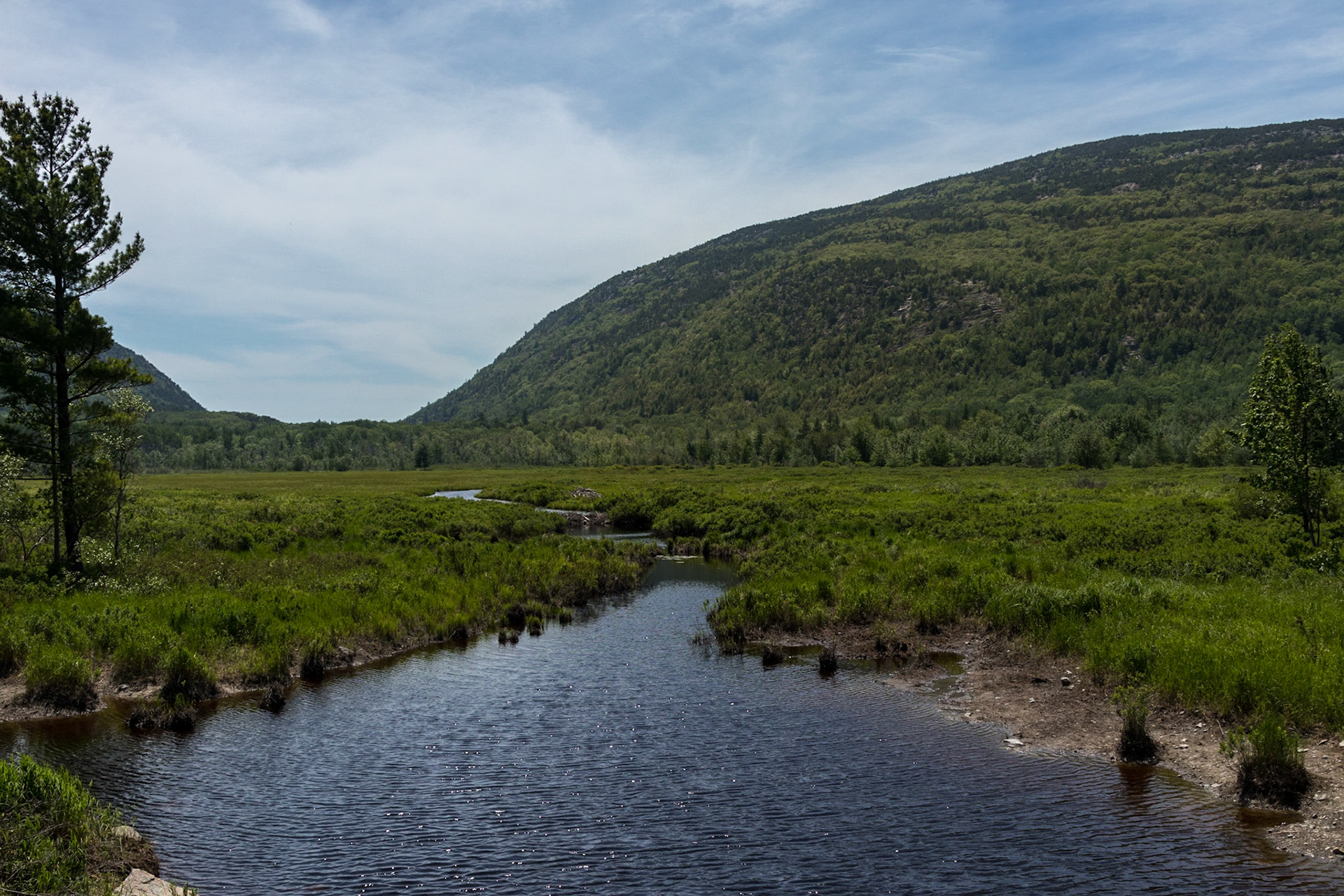 Beaver Dam Pond - Acadia National Park, Dessert Island, Maine