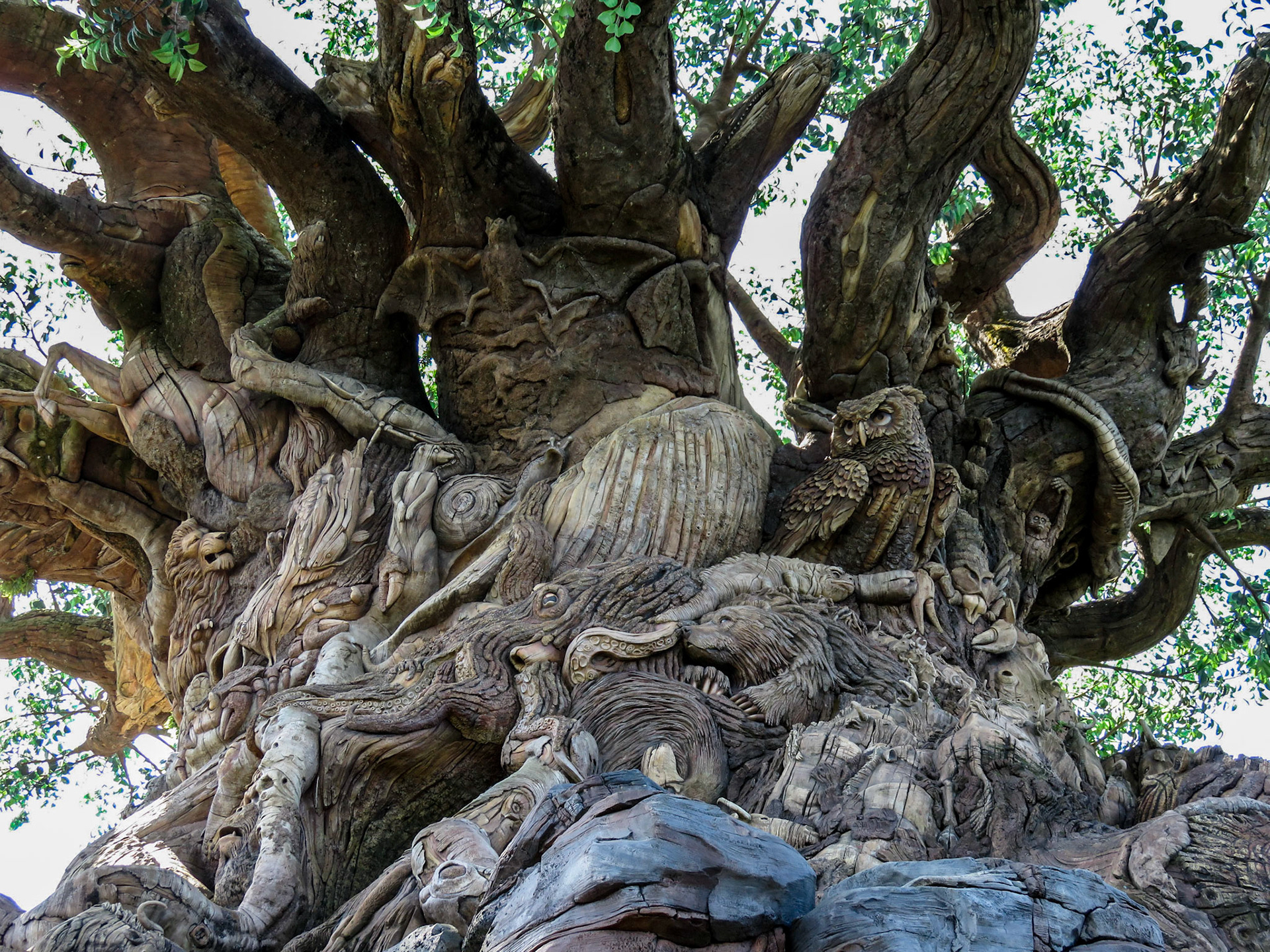 Tree of Life, how many animals can you find/see? - Walt Disney World
