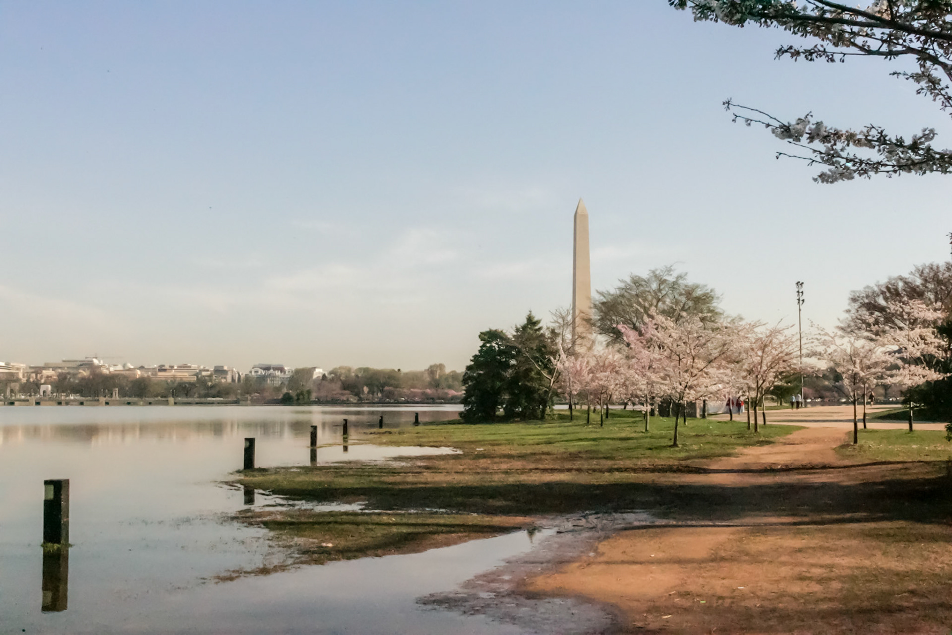 Tidal Basin flooding and Washington Monument - Washington, DC