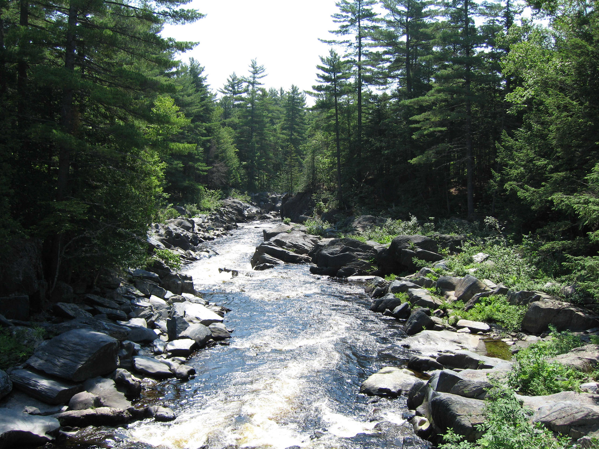 Moose River - Jackman, ME