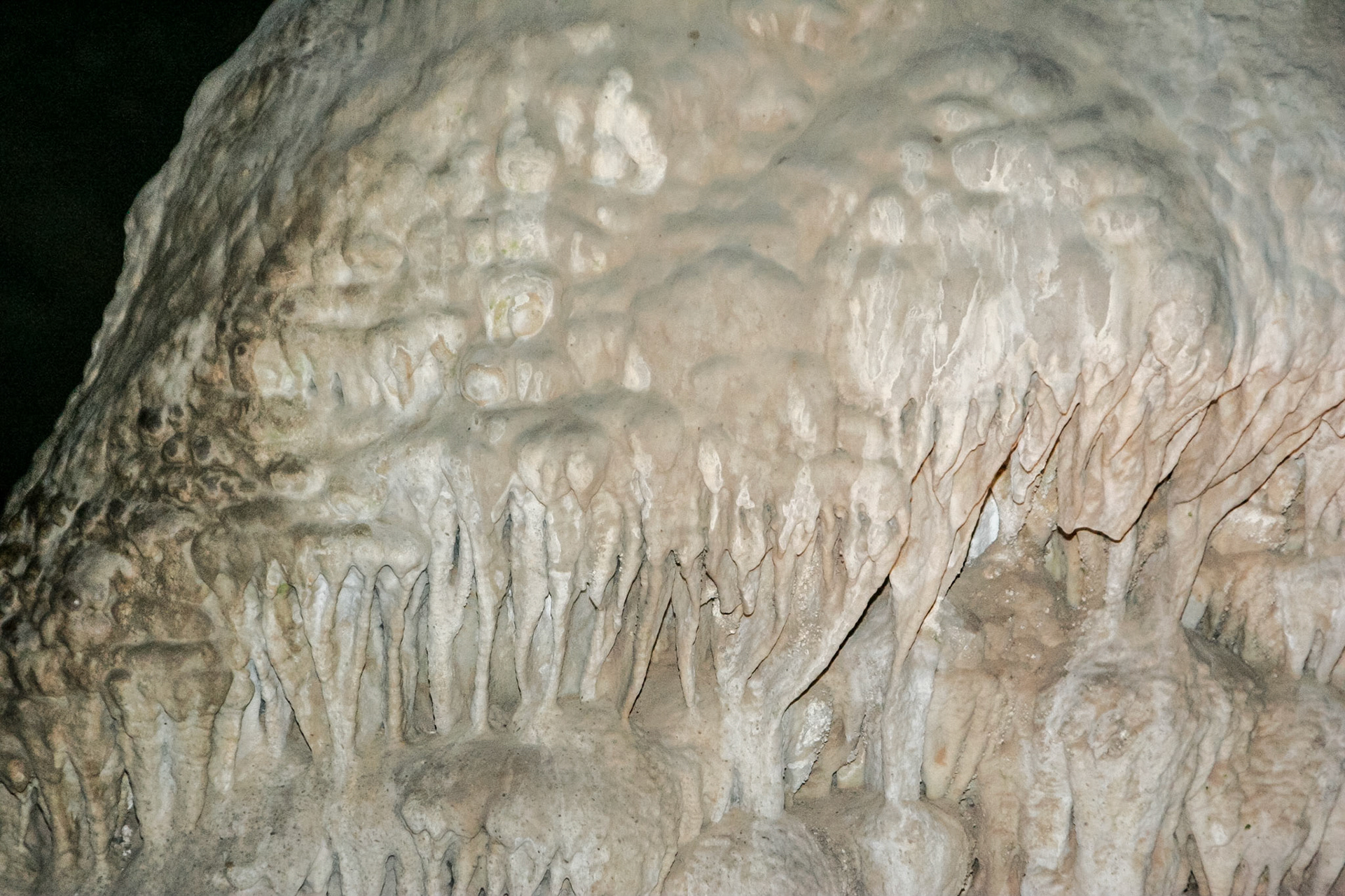 Inside Carlsbad Caverns - Carlsbad, NM
