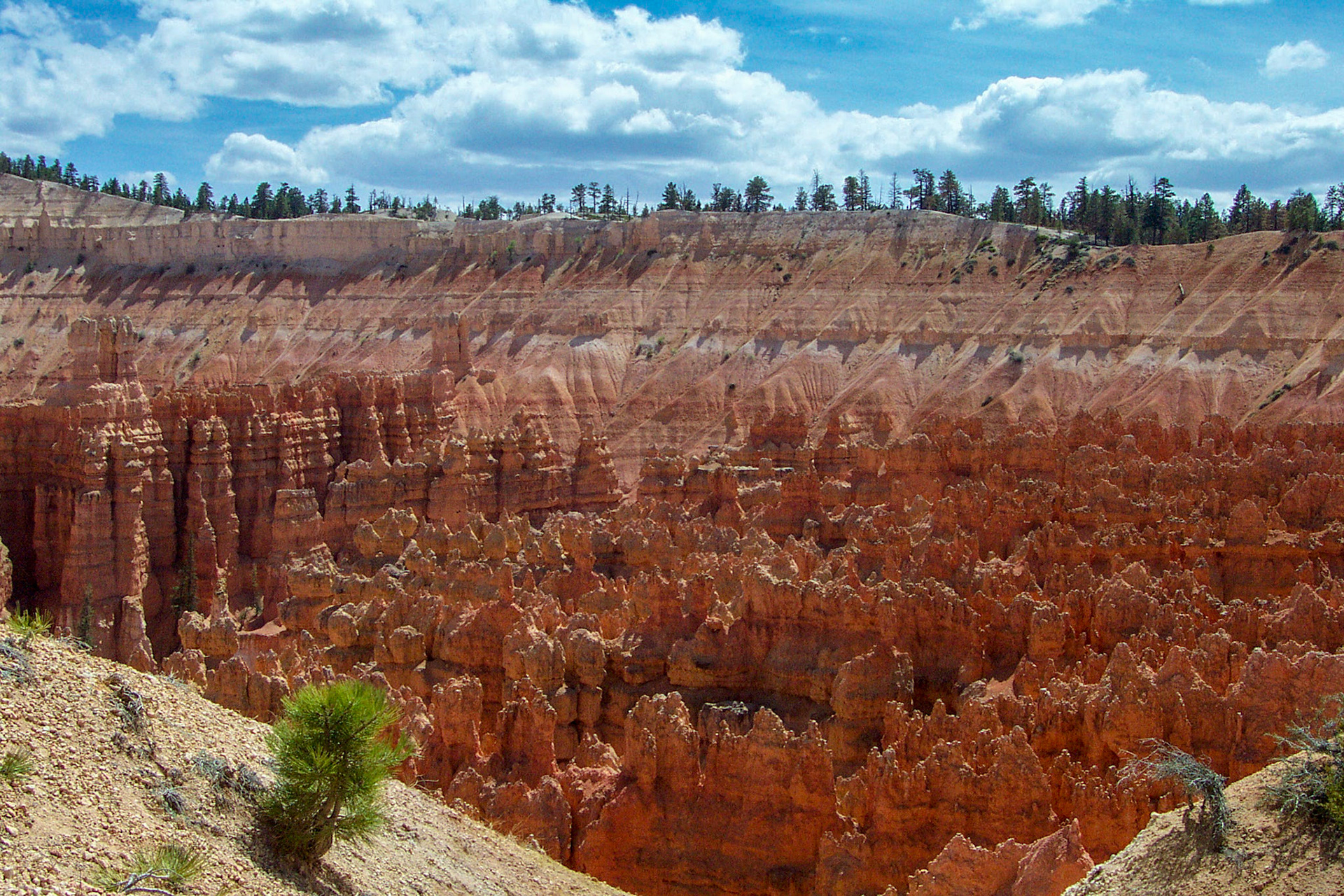 Hoodoos - Bryce Canyon National Park, UT