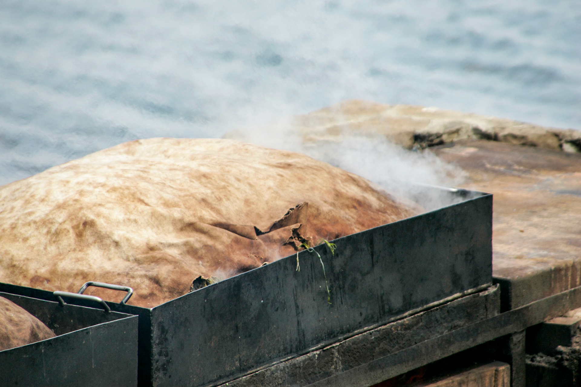 Fresh moist sea weed provides the steam under the canvas - Cabbage Island, ME