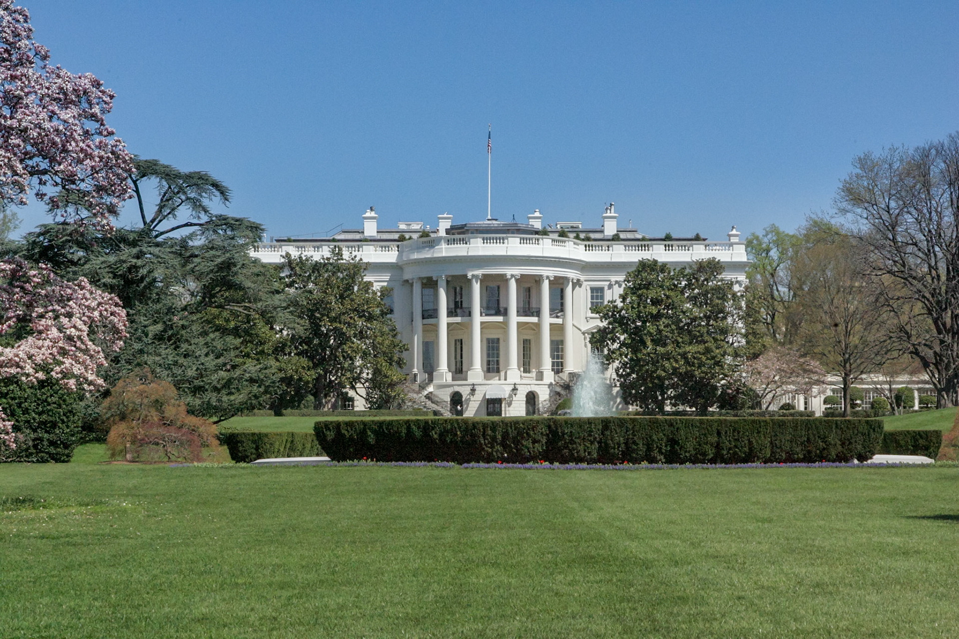 The White House - Washington, DC
