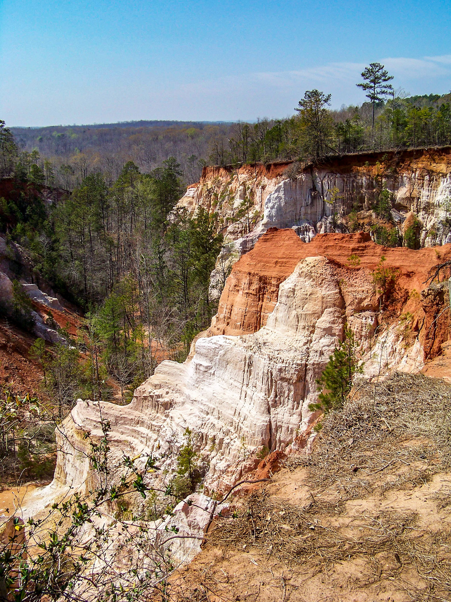 Providence Canyon State Park, Georgia's little grand canyon
