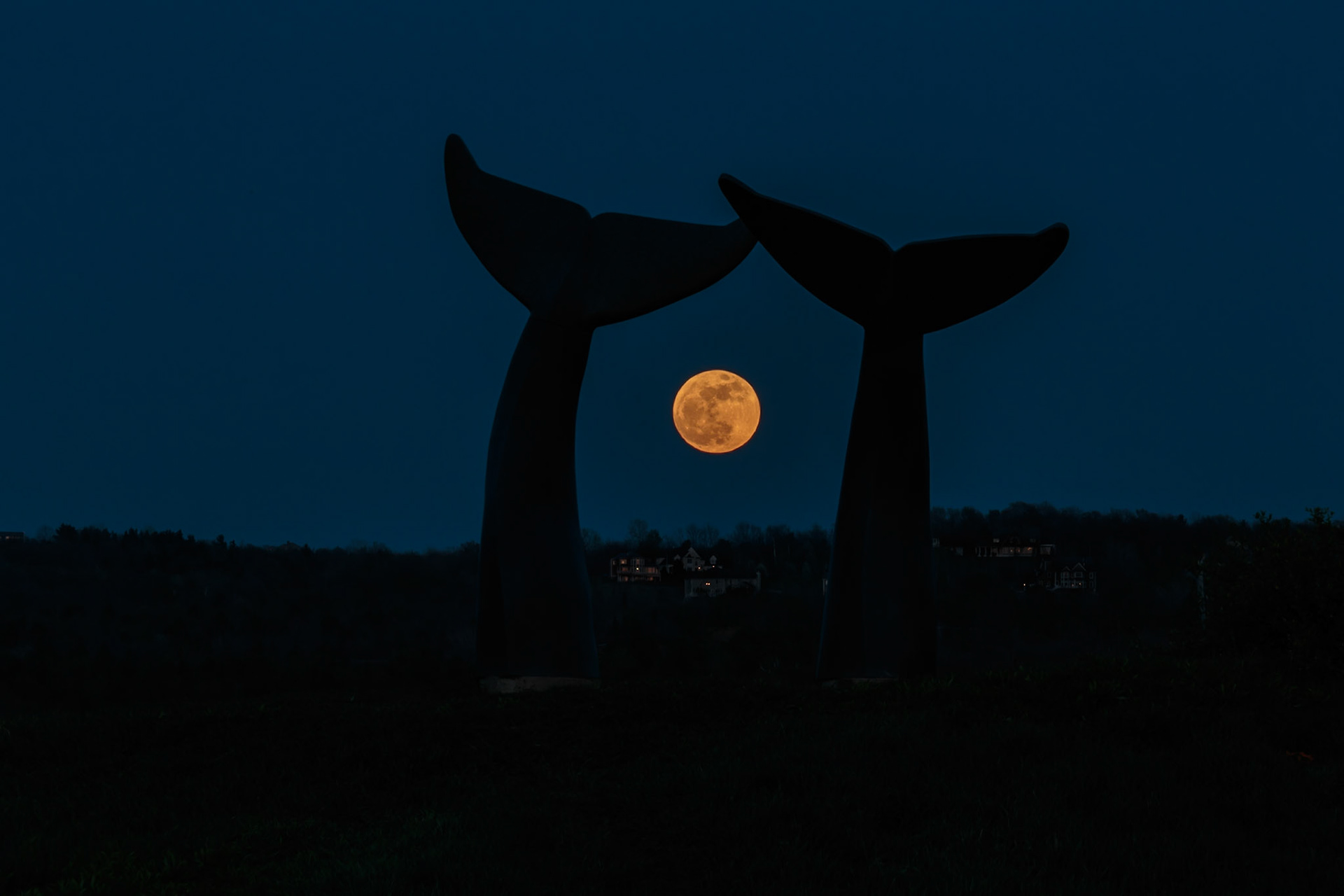 Full moon rising at Whales Tails (Reverence) monument - Burlington, VT