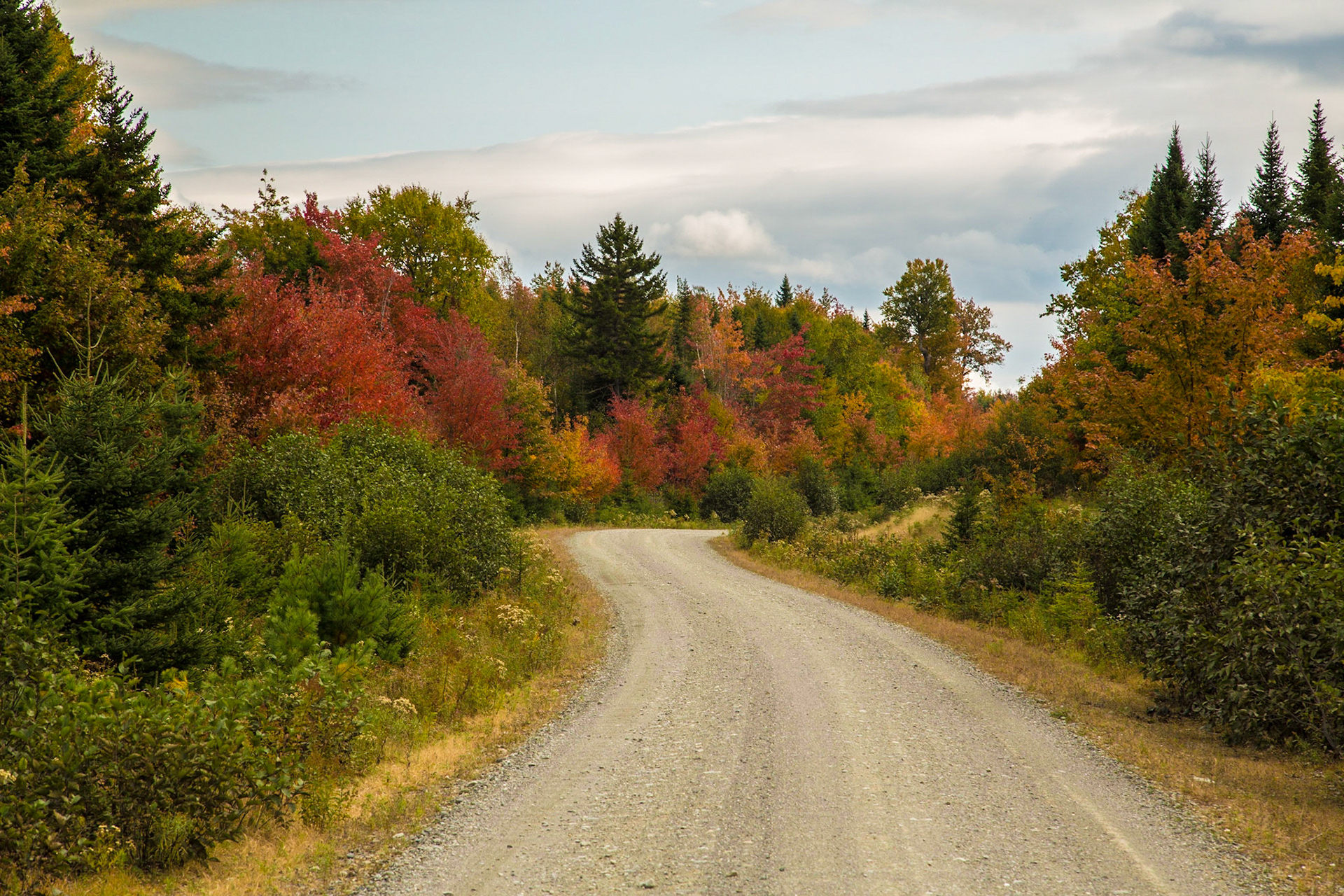 Fall colors on country road in Maine - Jackman, ME