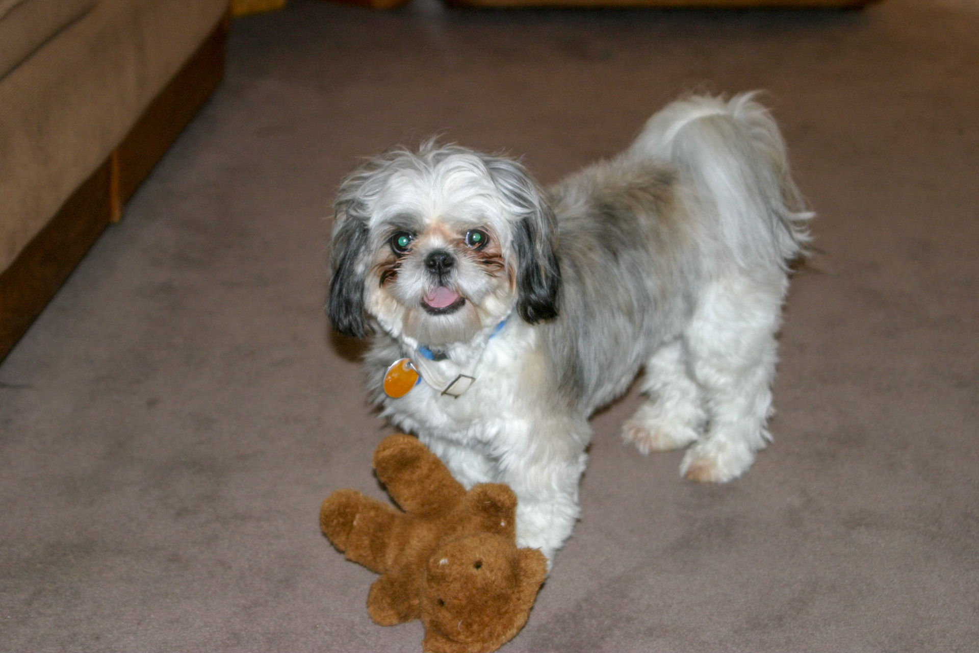 Mollie
