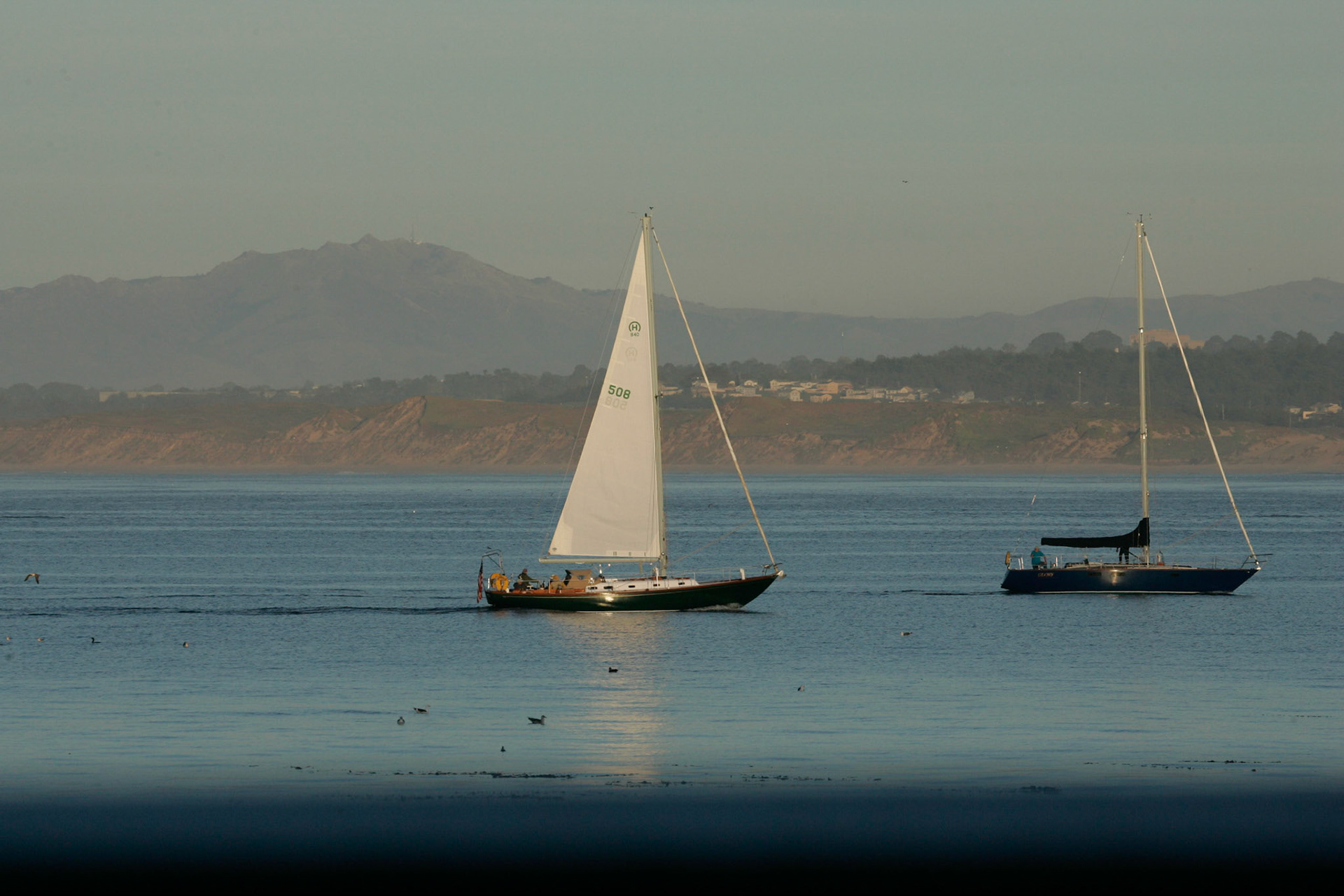 Sail boats in Monterey Harbor - Monterey, CA