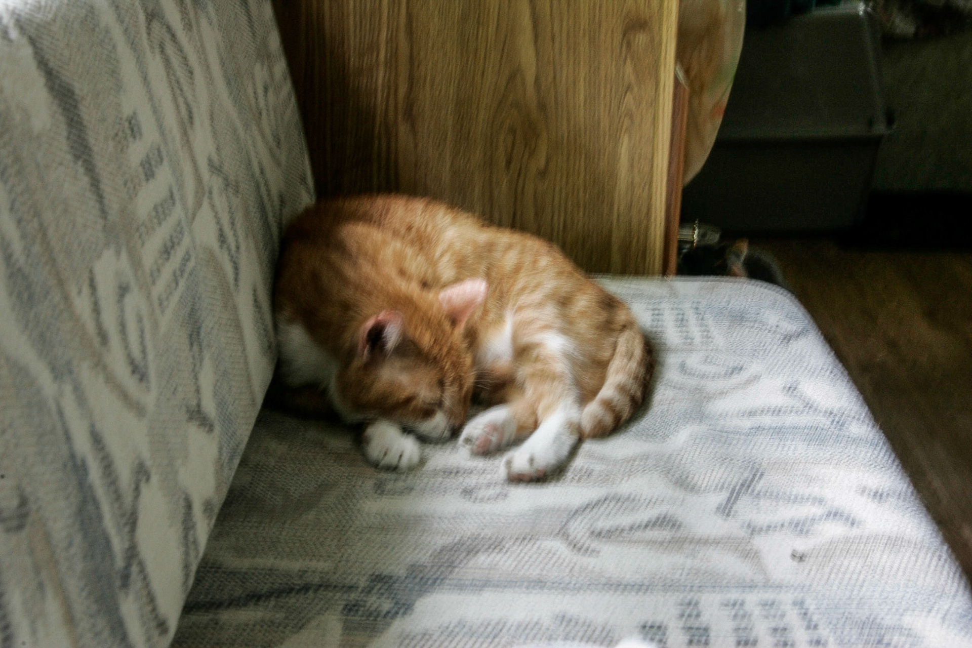 Tom sleeping in Camper - Dover-Foxcroft, ME