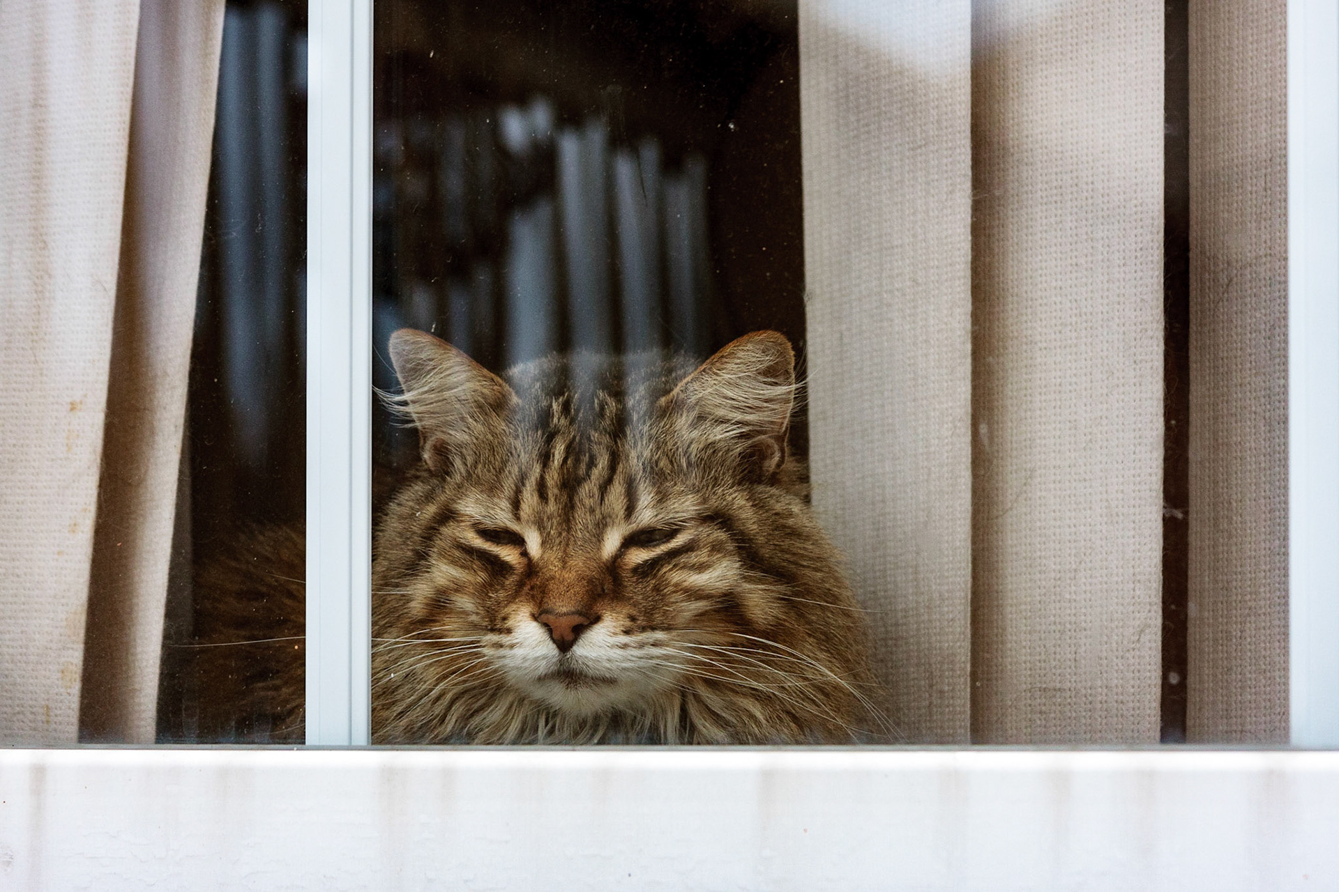 Why can't I go outside? - Leo, Colchester VT