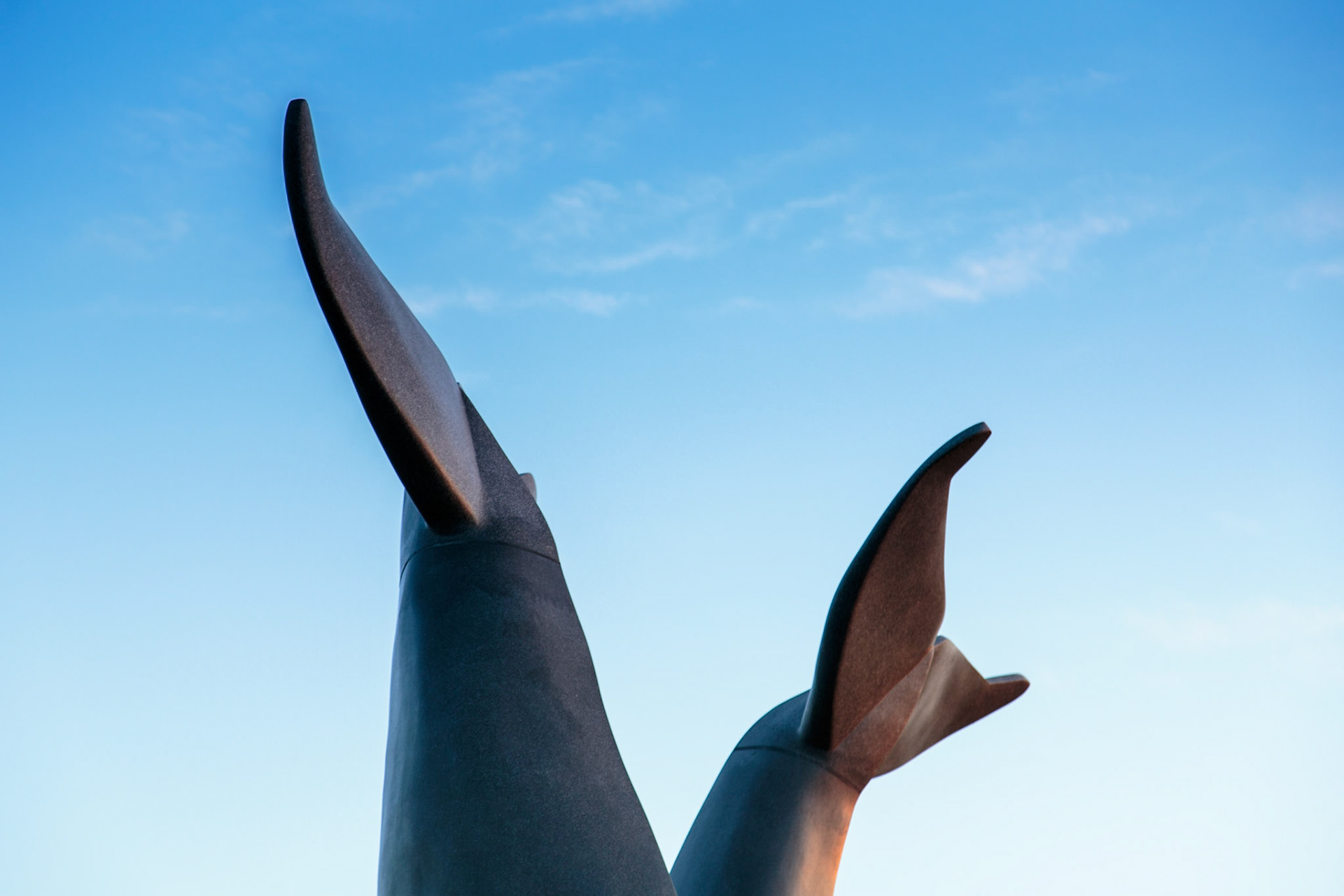 Whales Tails (Reverence) monument - Burlington, VT