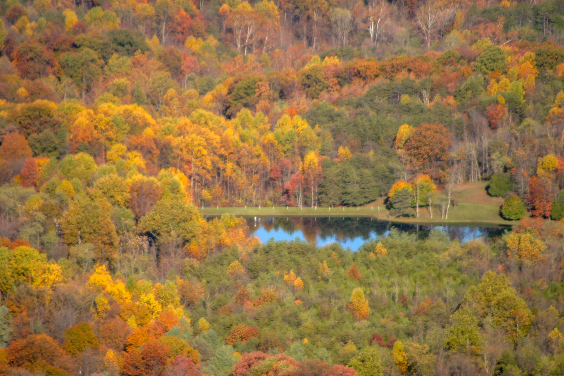 Fall colors - nearby Natural Land Bridge, Virginia