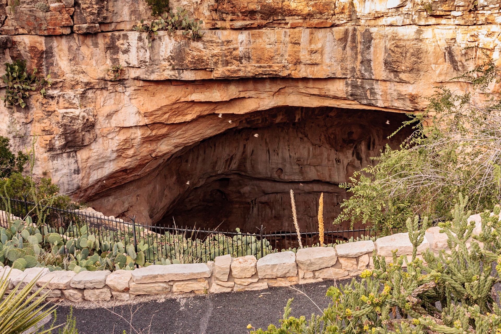 Carlsbad Caverns National Park