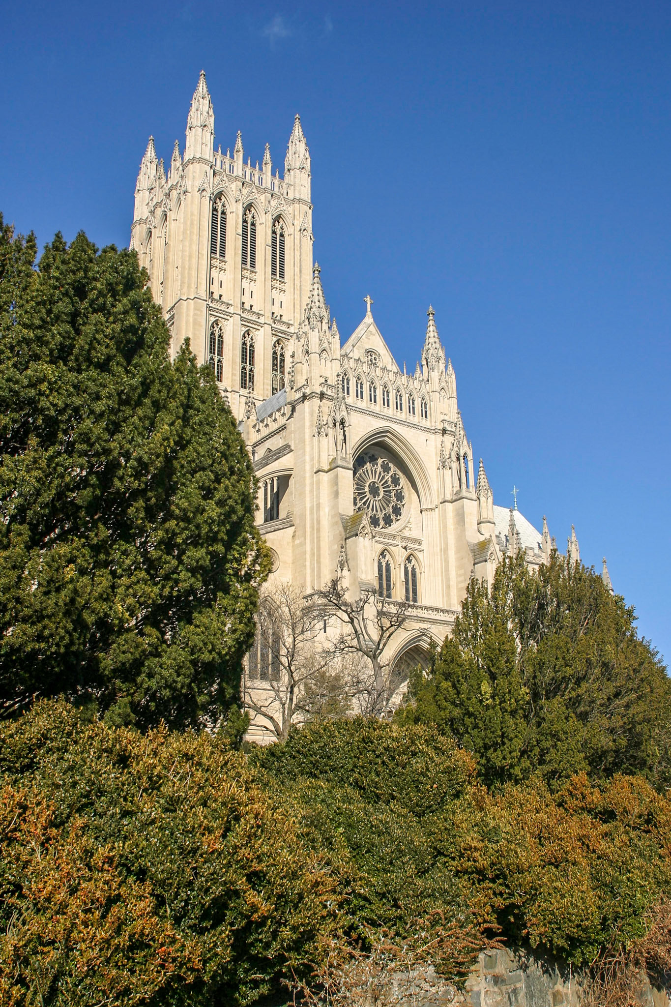 National Cathedral - Washington, DC