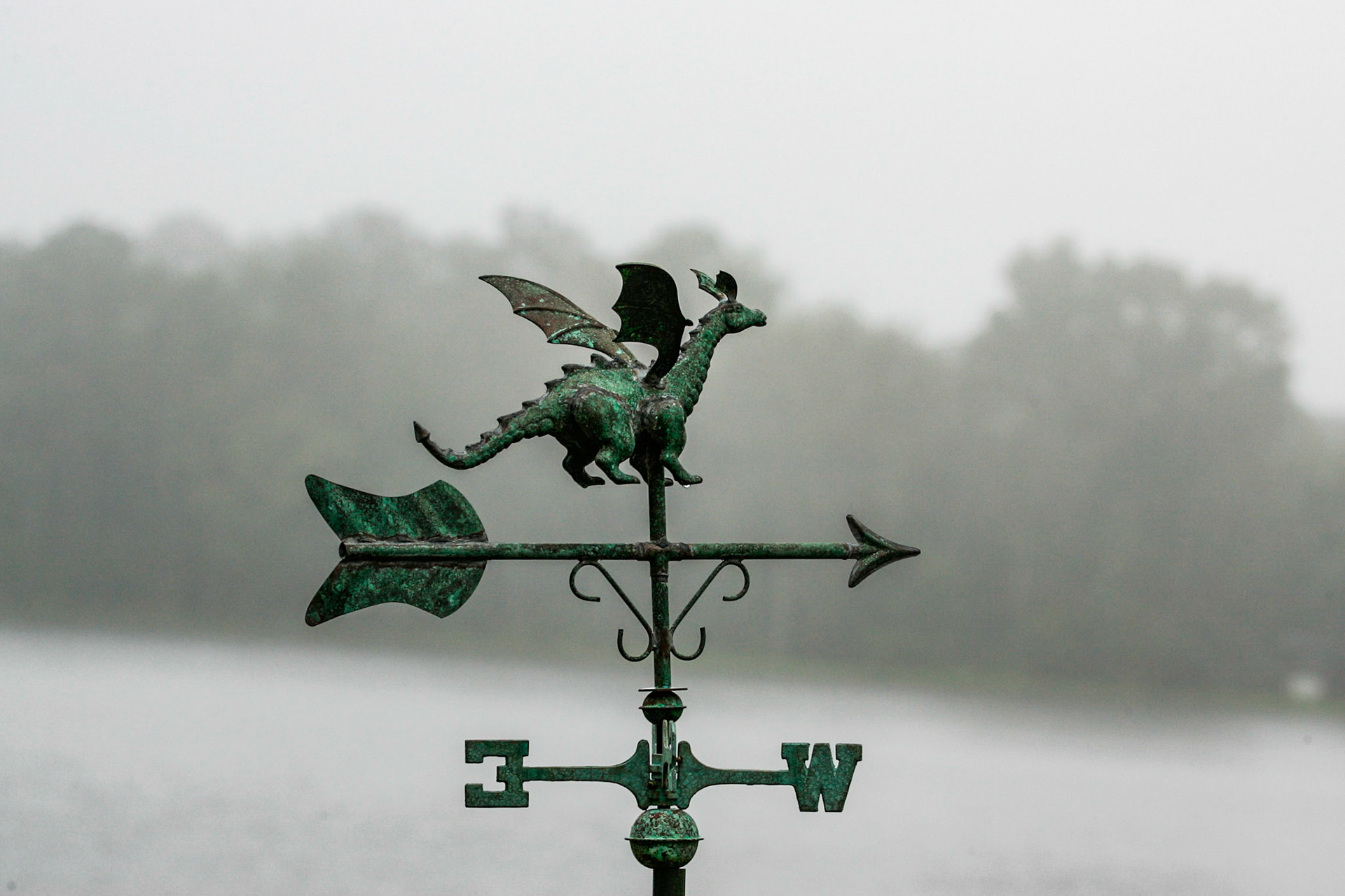 Dragon weather-vane - Interlachen, FL