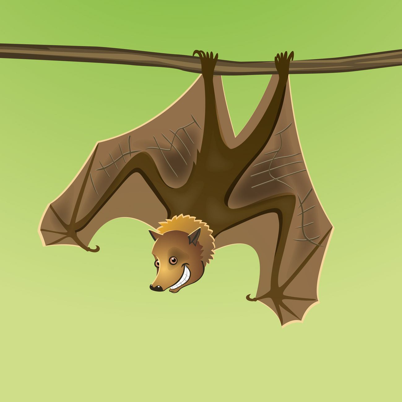 AH Superdieren / Neboko